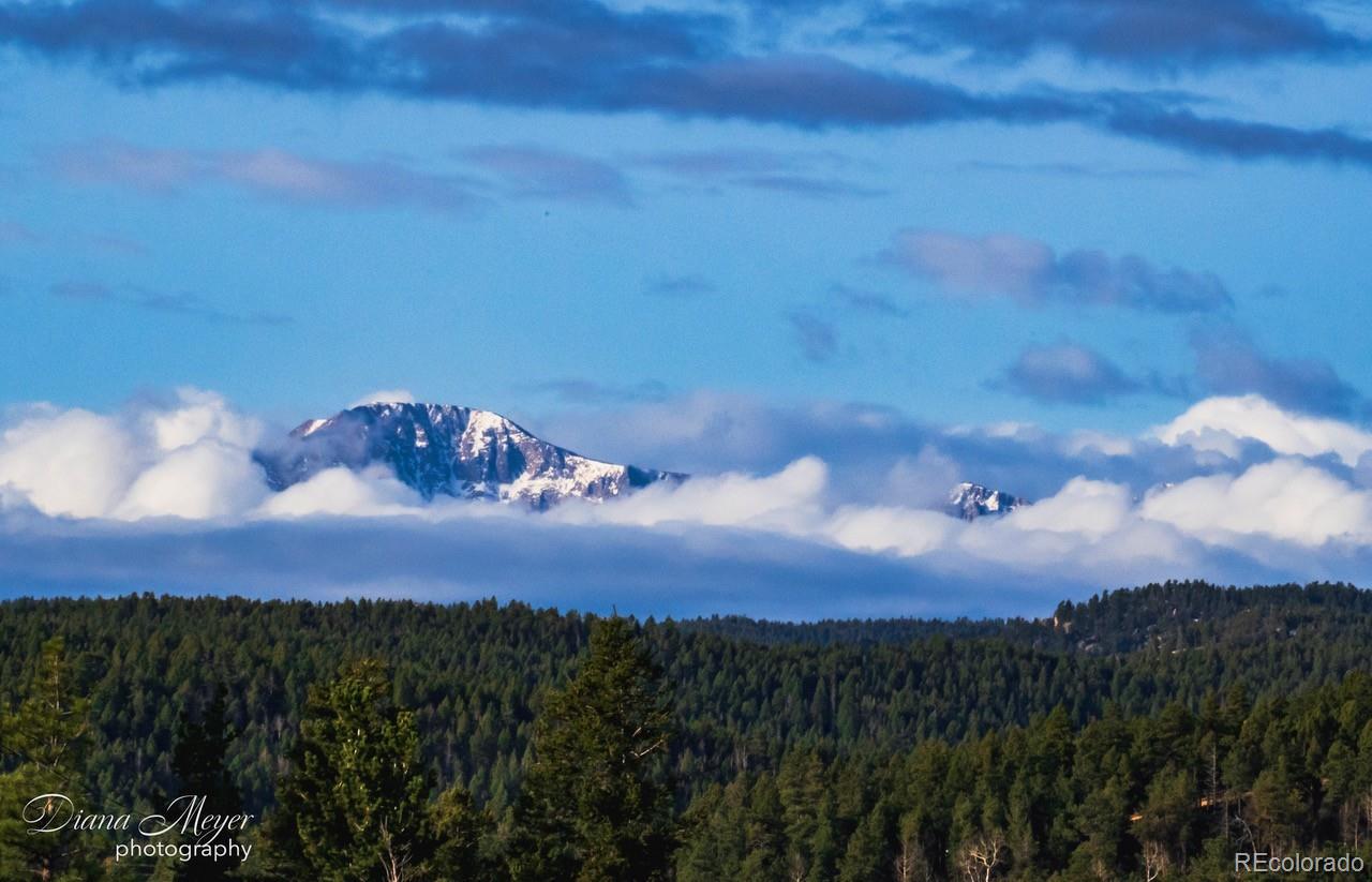 MLS Image #26 for 13035  deer ridge way,larkspur, Colorado