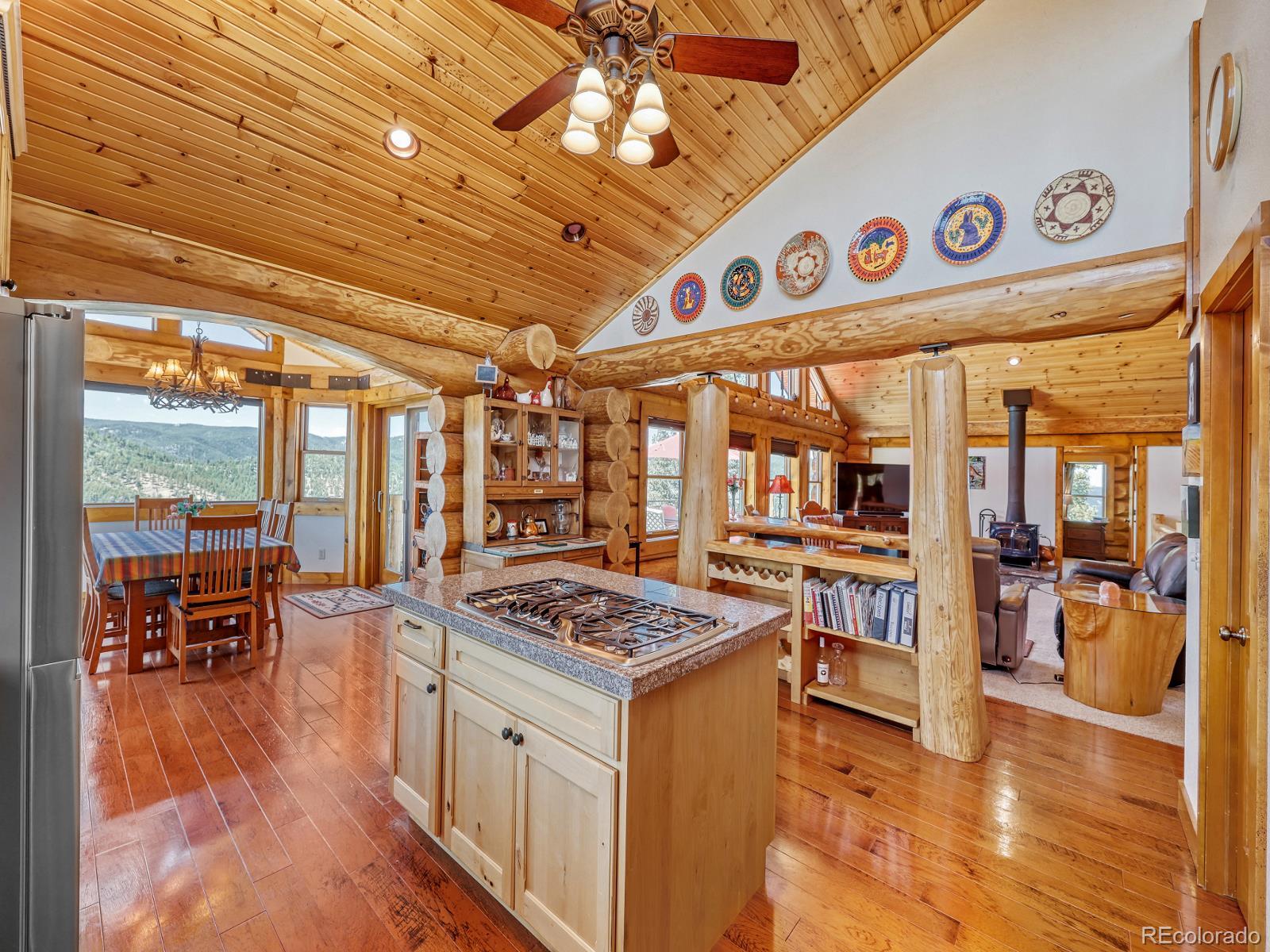 MLS Image #4 for 13035  deer ridge way,larkspur, Colorado