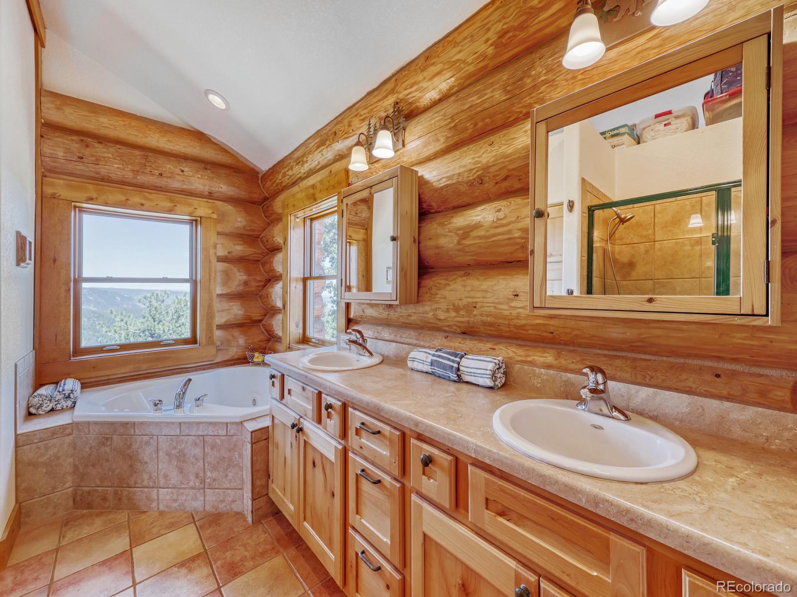 MLS Image #9 for 13035  deer ridge way,larkspur, Colorado