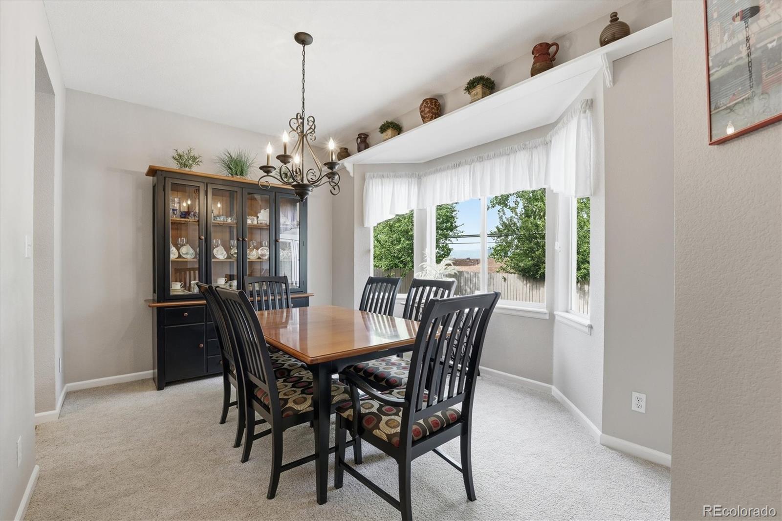 MLS Image #21 for 7287 s acoma street,littleton, Colorado