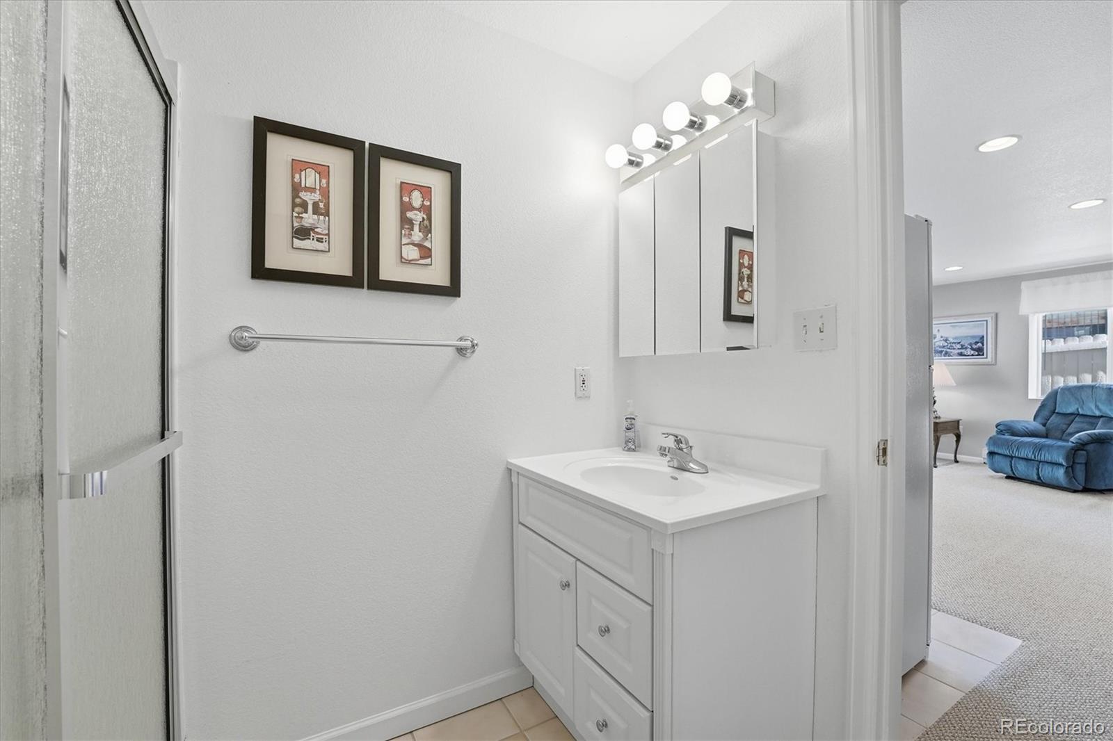 MLS Image #41 for 7287 s acoma street,littleton, Colorado