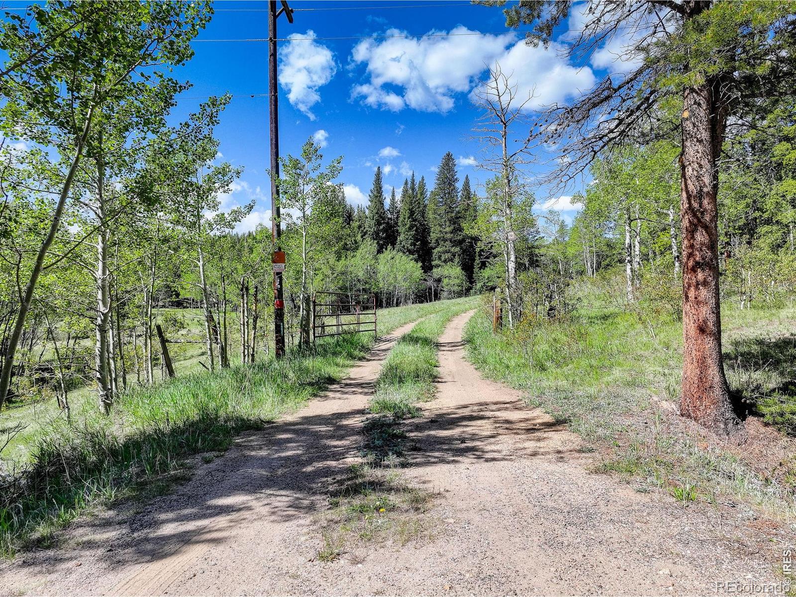 MLS Image #14 for 48621  peak to peak highway,ward, Colorado
