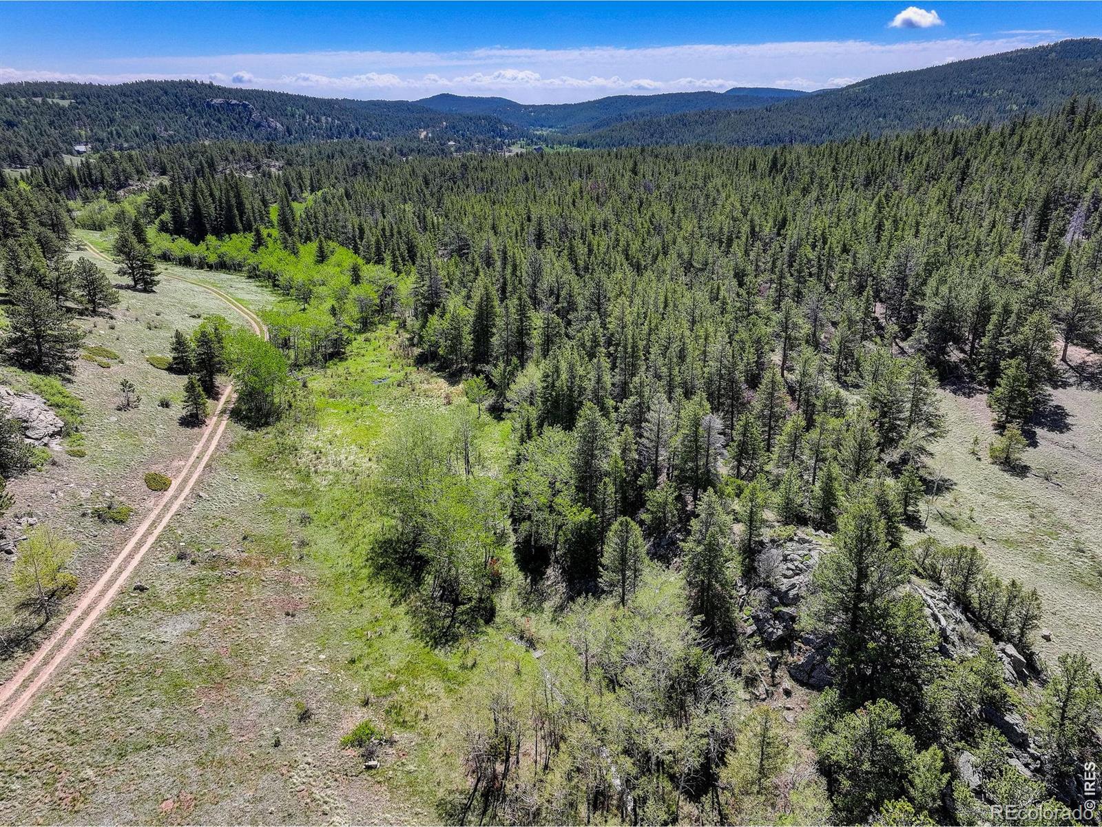MLS Image #16 for 48621  peak to peak highway,ward, Colorado
