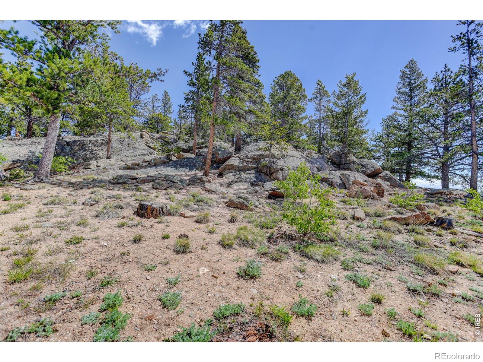 MLS Image #23 for 48621  peak to peak highway,ward, Colorado