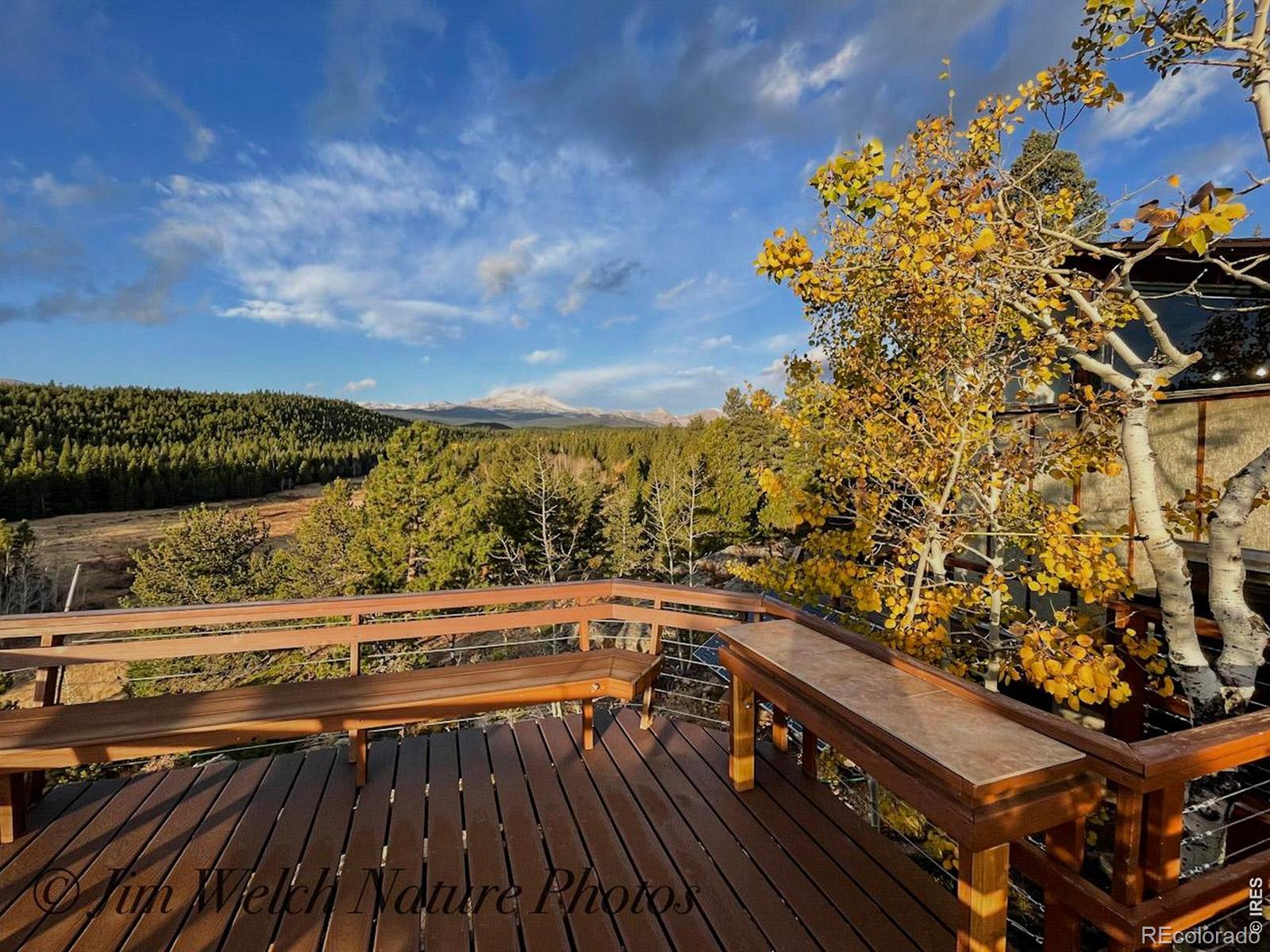 MLS Image #29 for 48621  peak to peak highway,ward, Colorado