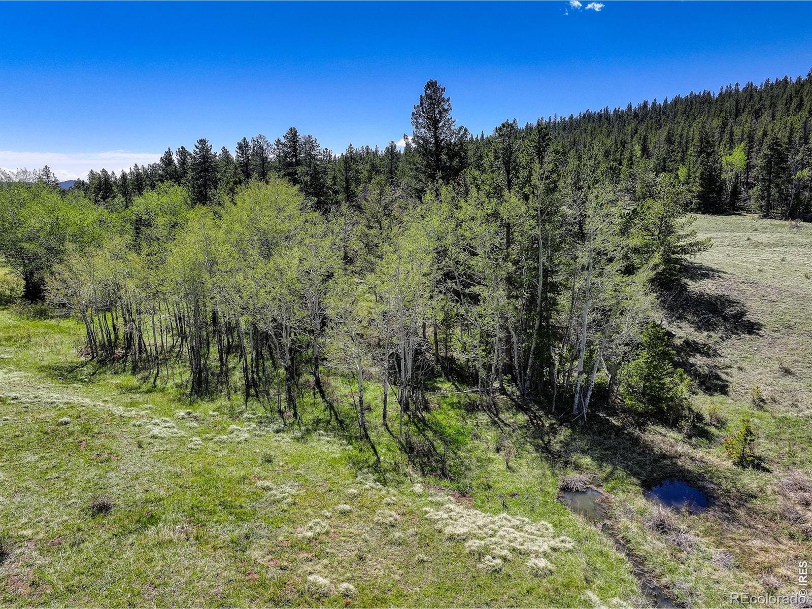 MLS Image #34 for 48621  peak to peak highway,ward, Colorado