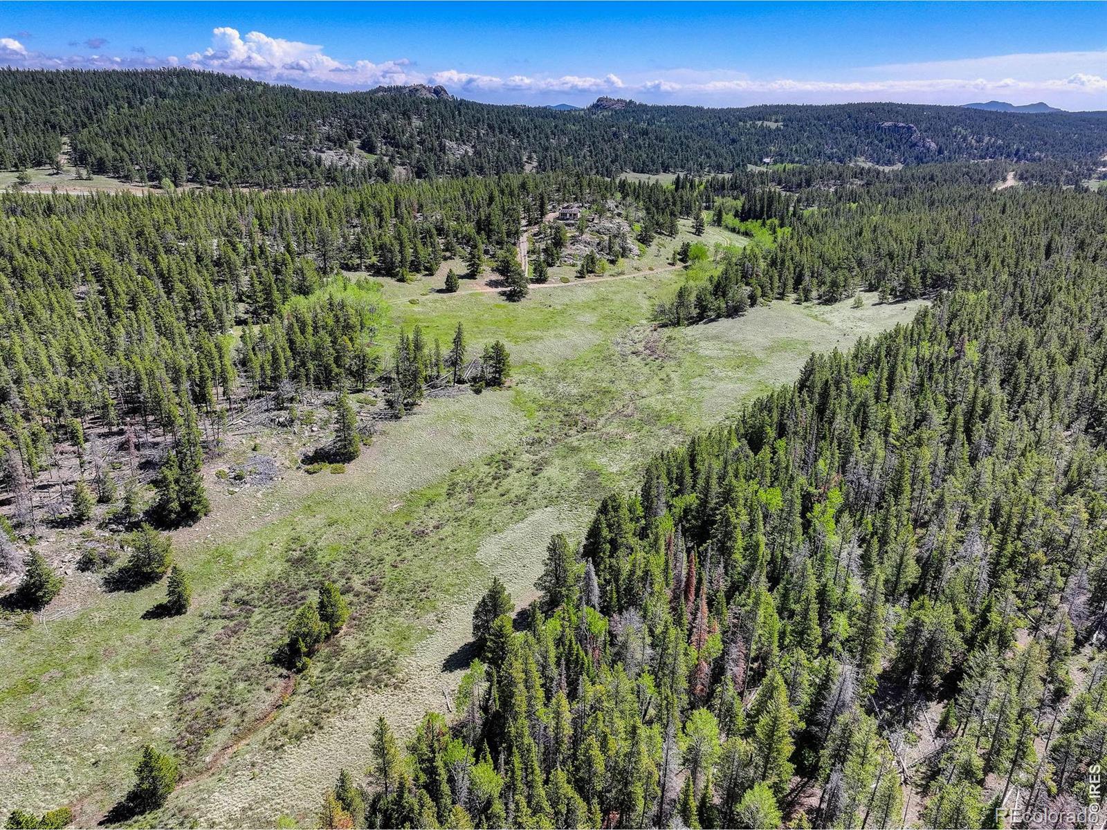 MLS Image #9 for 48621  peak to peak highway,ward, Colorado