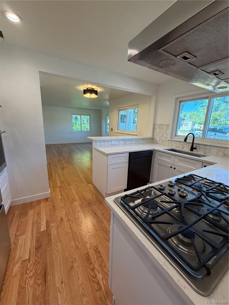 MLS Image #5 for 5040  elm court,denver, Colorado