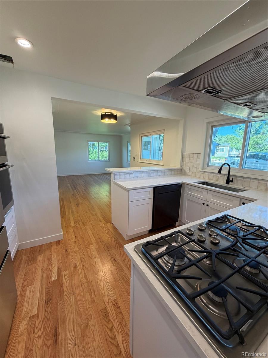 MLS Image #7 for 5040  elm court,denver, Colorado