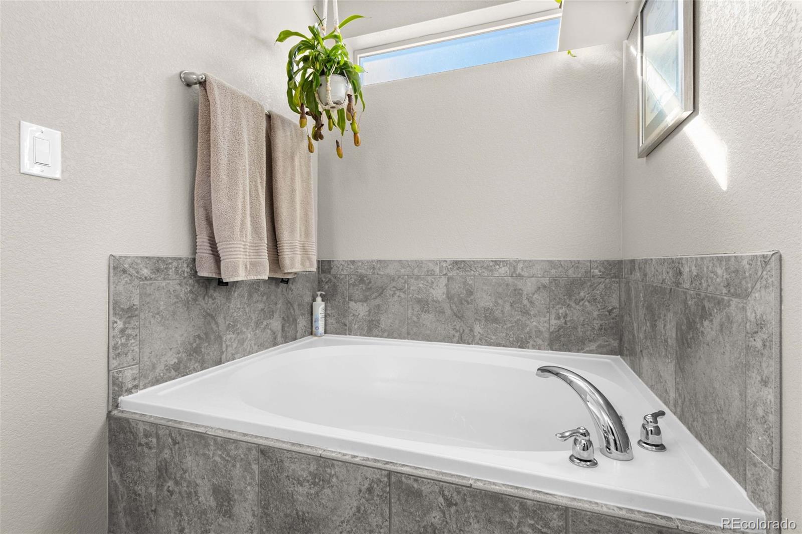 MLS Image #27 for 4469  mcmurdo court,castle rock, Colorado