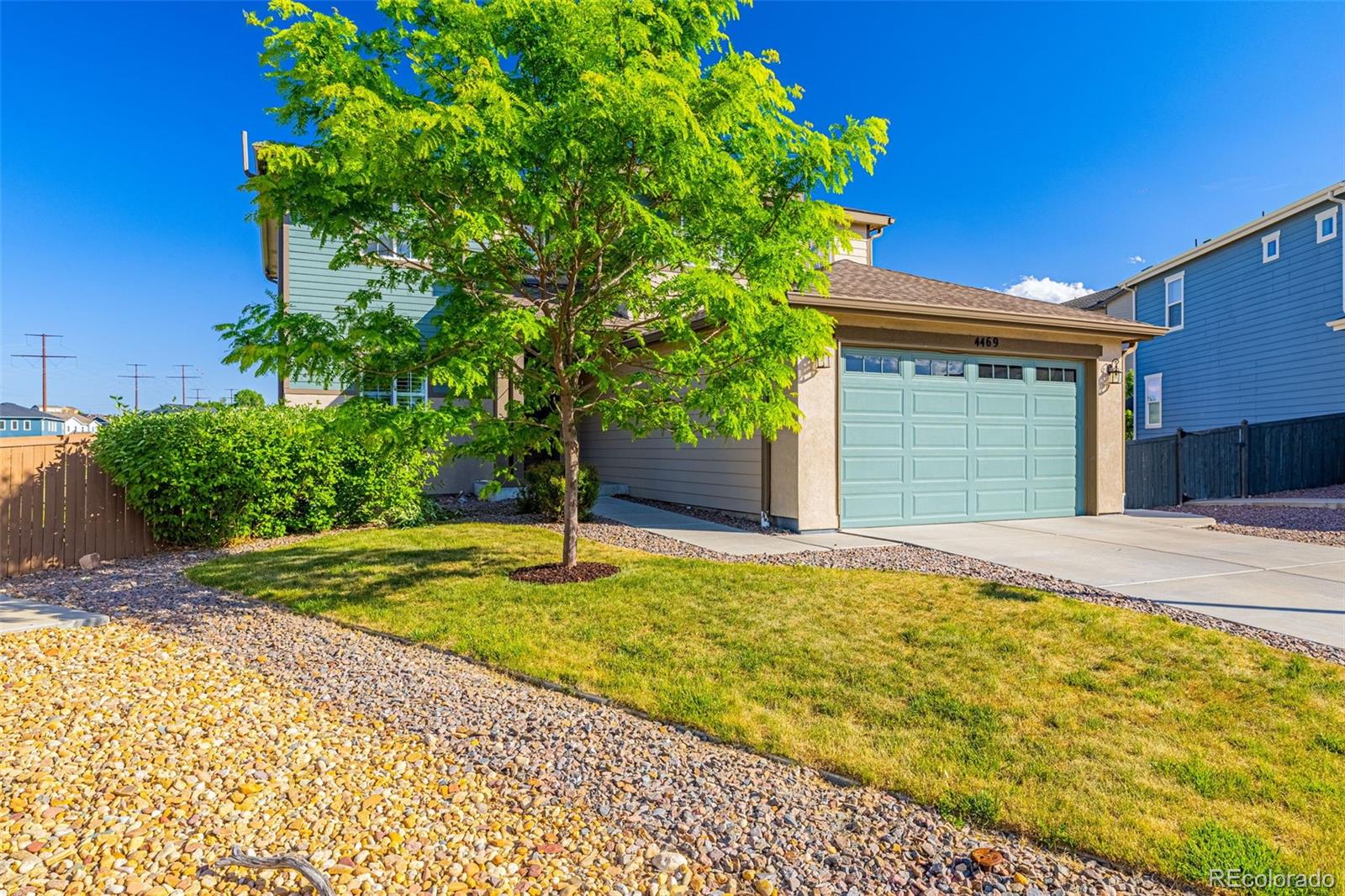 MLS Image #5 for 4469  mcmurdo court,castle rock, Colorado