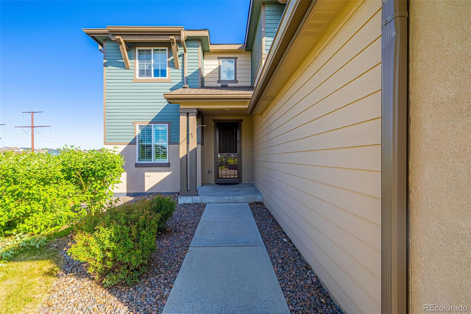 MLS Image #6 for 4469  mcmurdo court,castle rock, Colorado