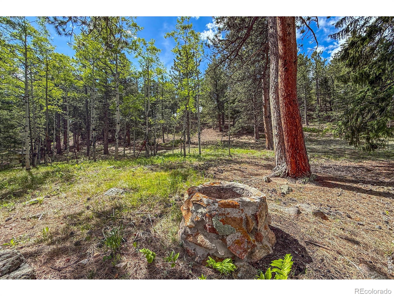 MLS Image #41 for 416  highway 7 business ,allenspark, Colorado