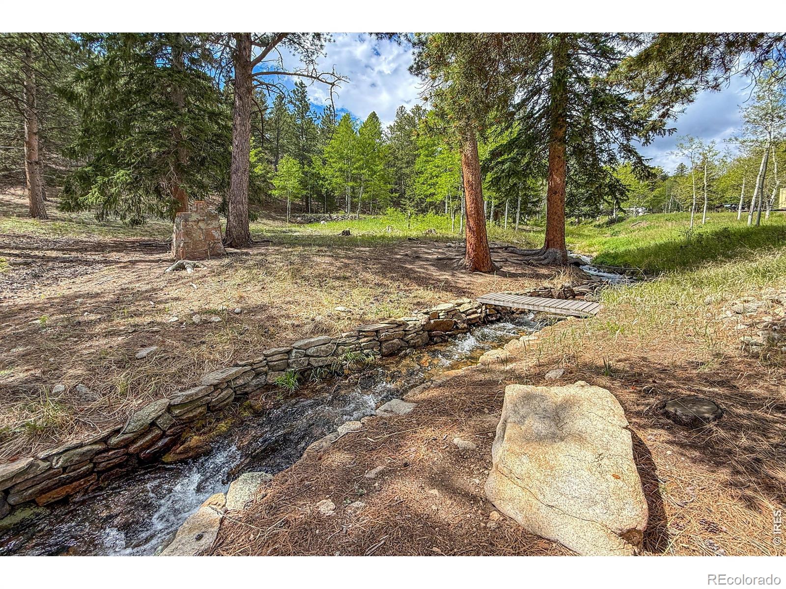 MLS Image #44 for 416  highway 7 business ,allenspark, Colorado