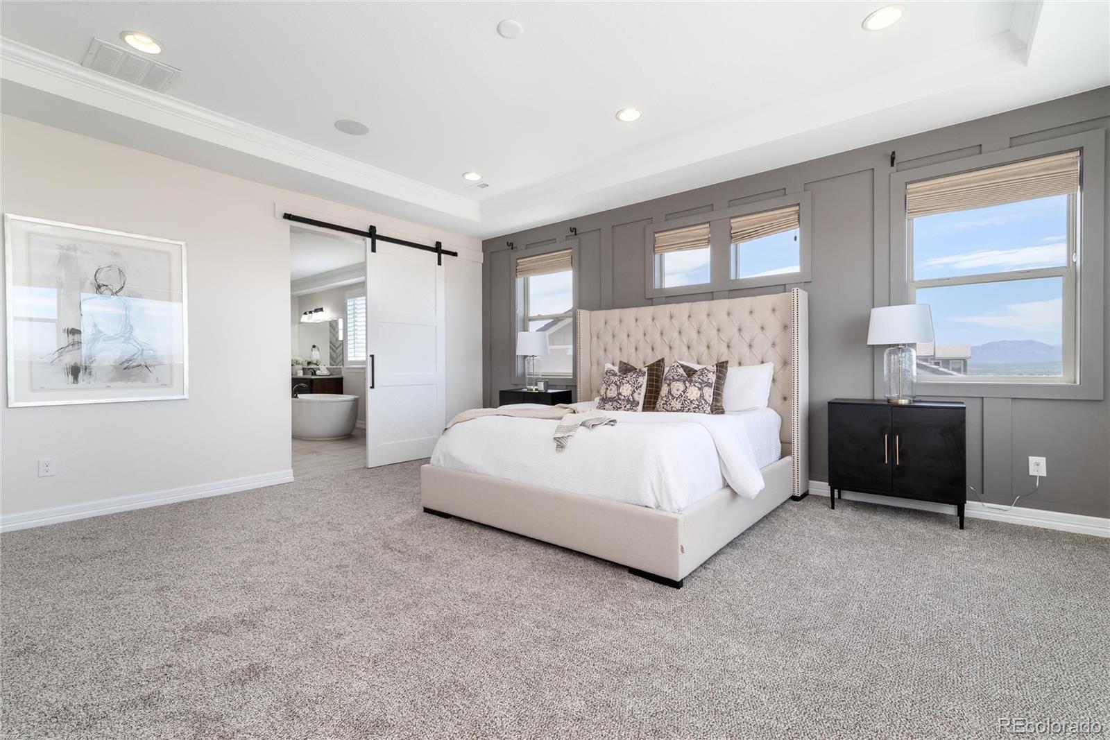MLS Image #19 for 3105  blue mountain drive,broomfield, Colorado
