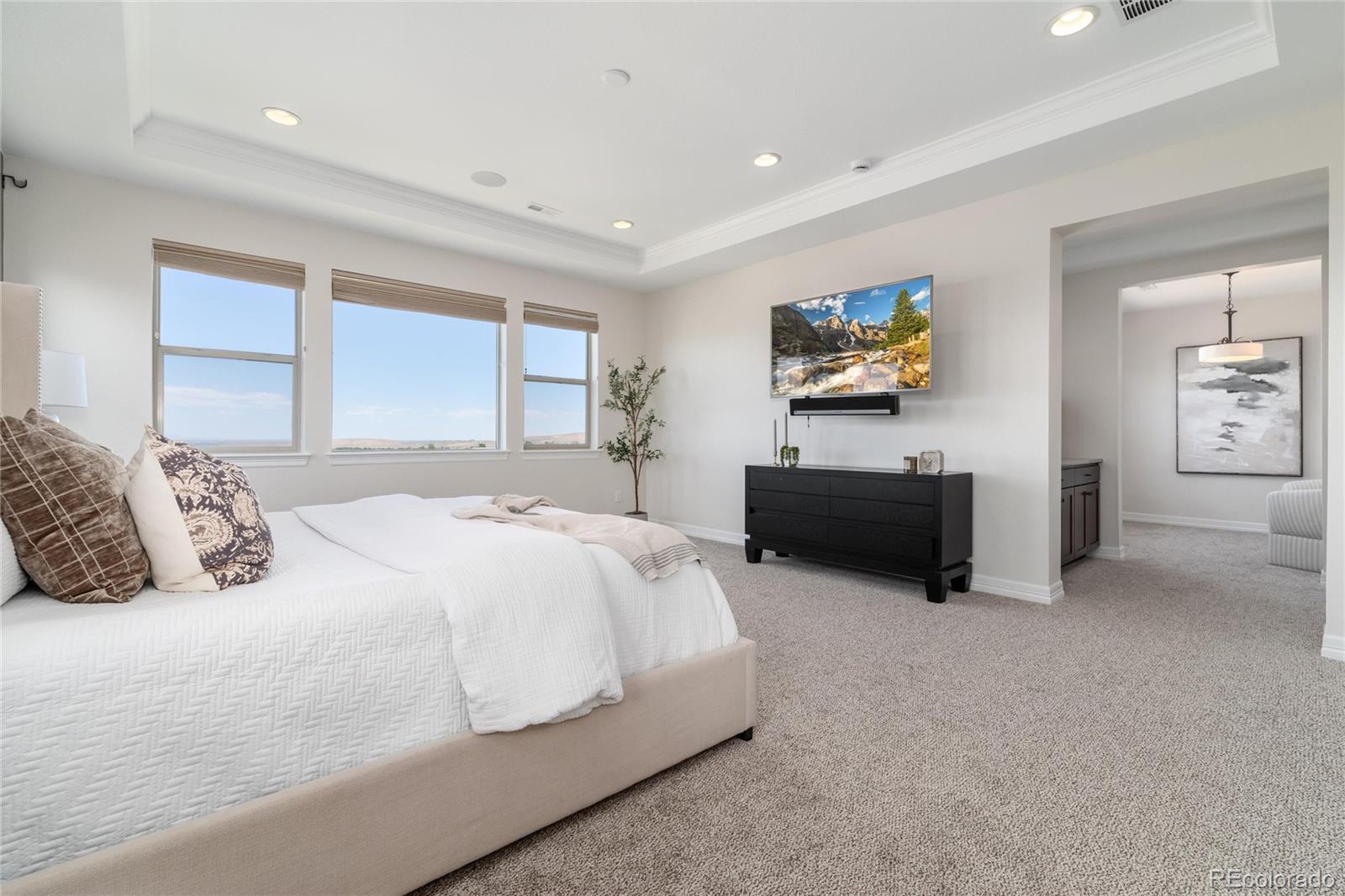 MLS Image #20 for 3105  blue mountain drive,broomfield, Colorado