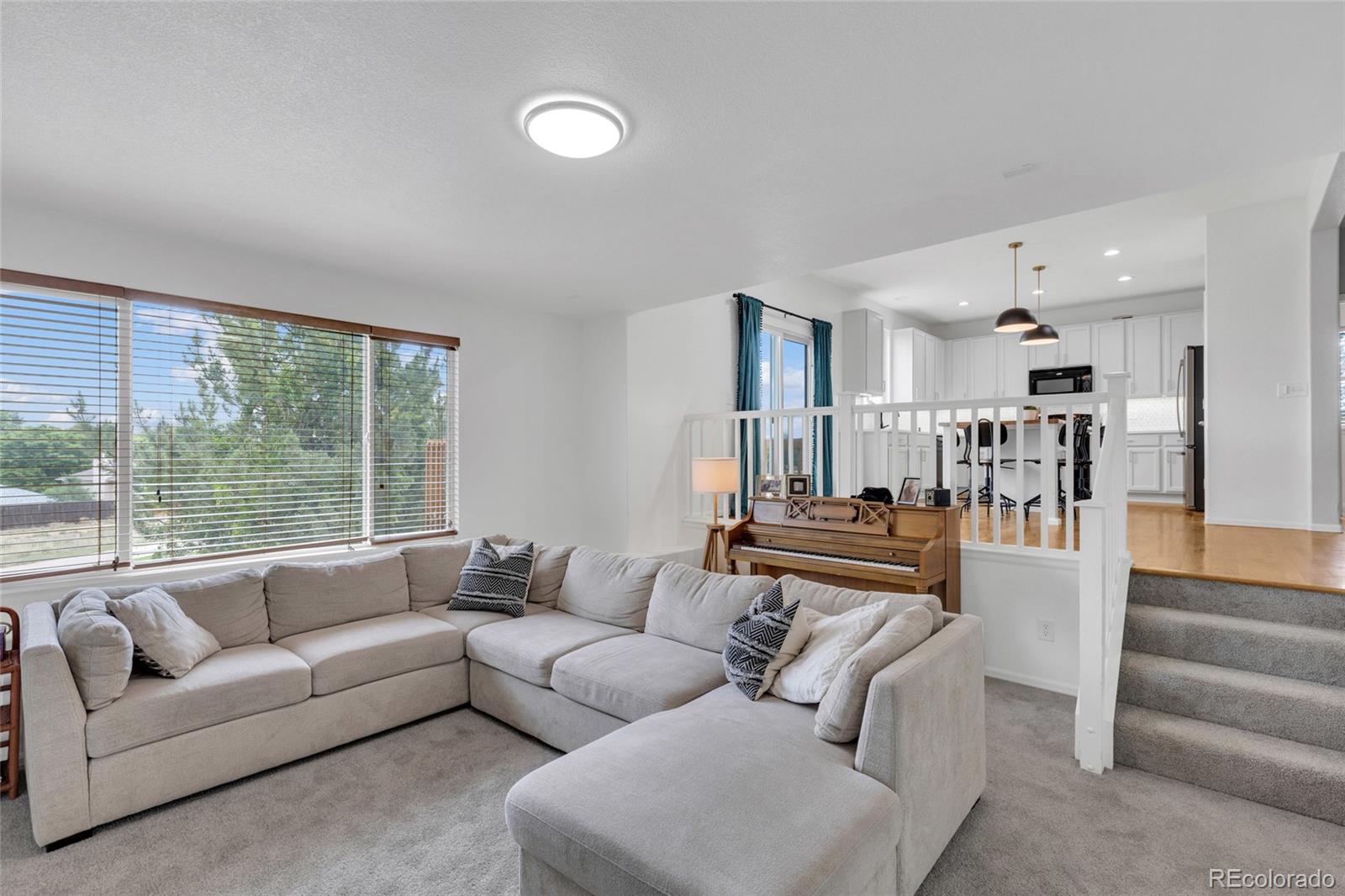 MLS Image #11 for 404  buena vista court,brighton, Colorado