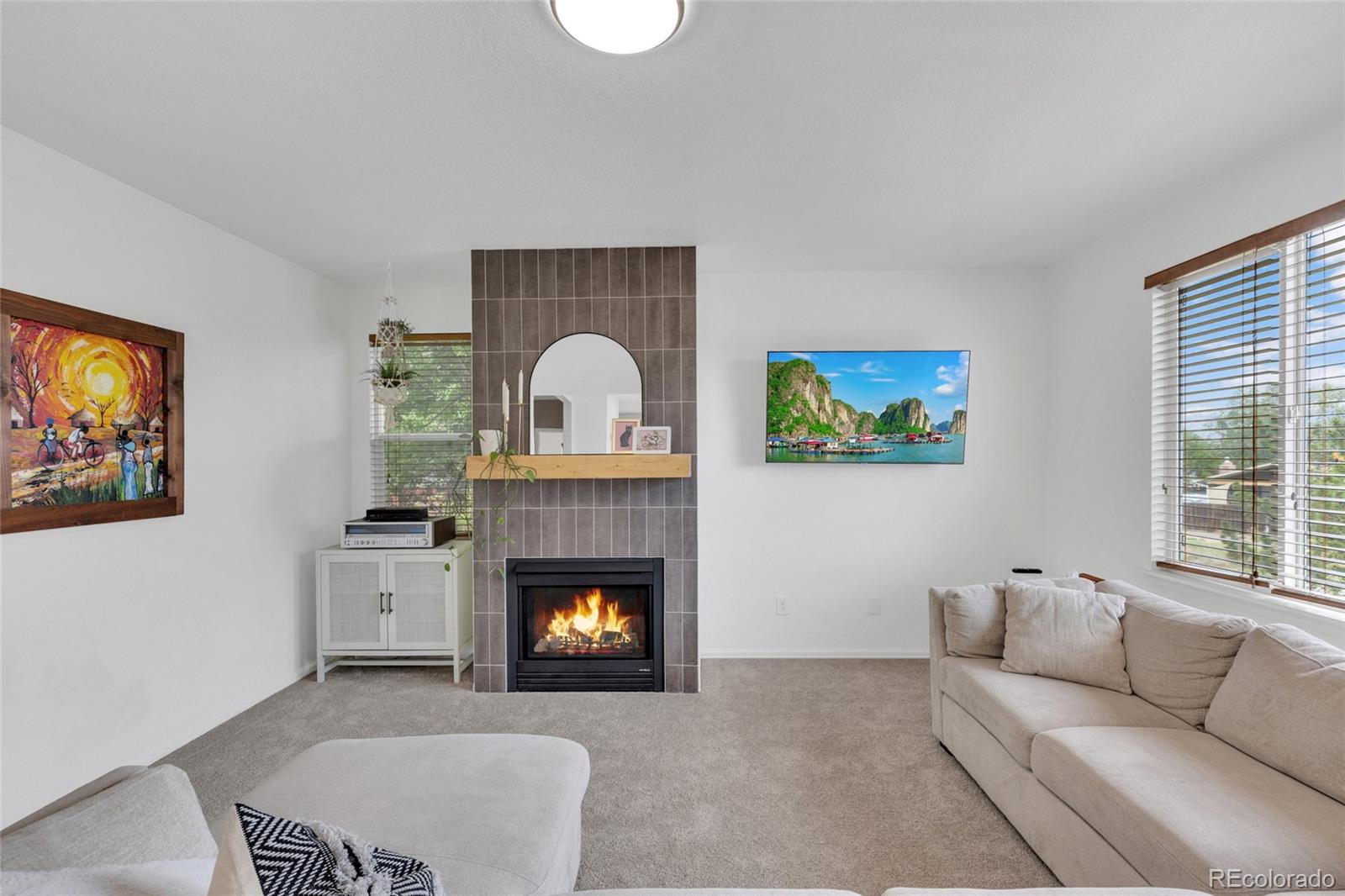 MLS Image #13 for 404  buena vista court,brighton, Colorado