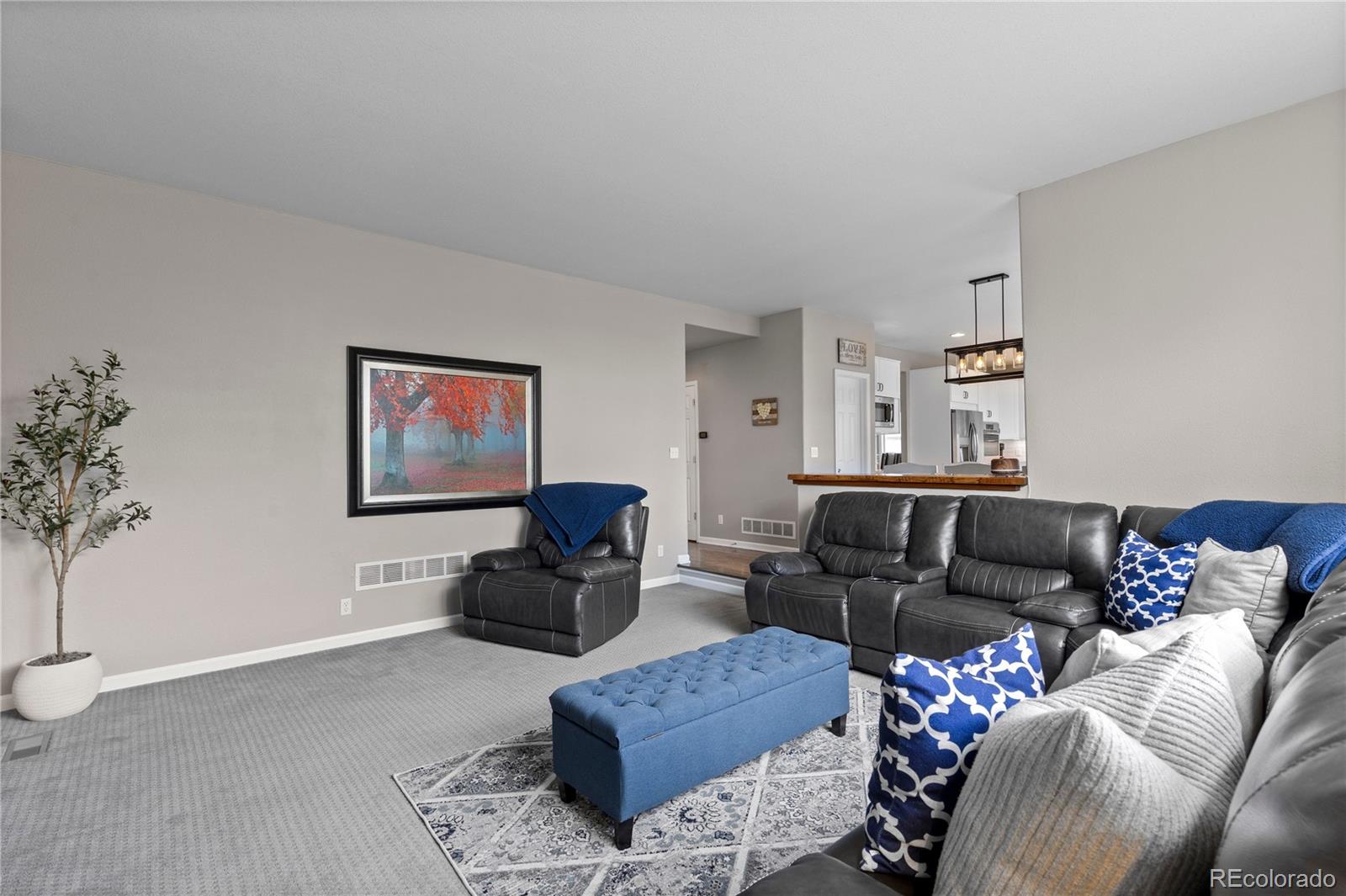 MLS Image #18 for 529  rita place,castle pines, Colorado
