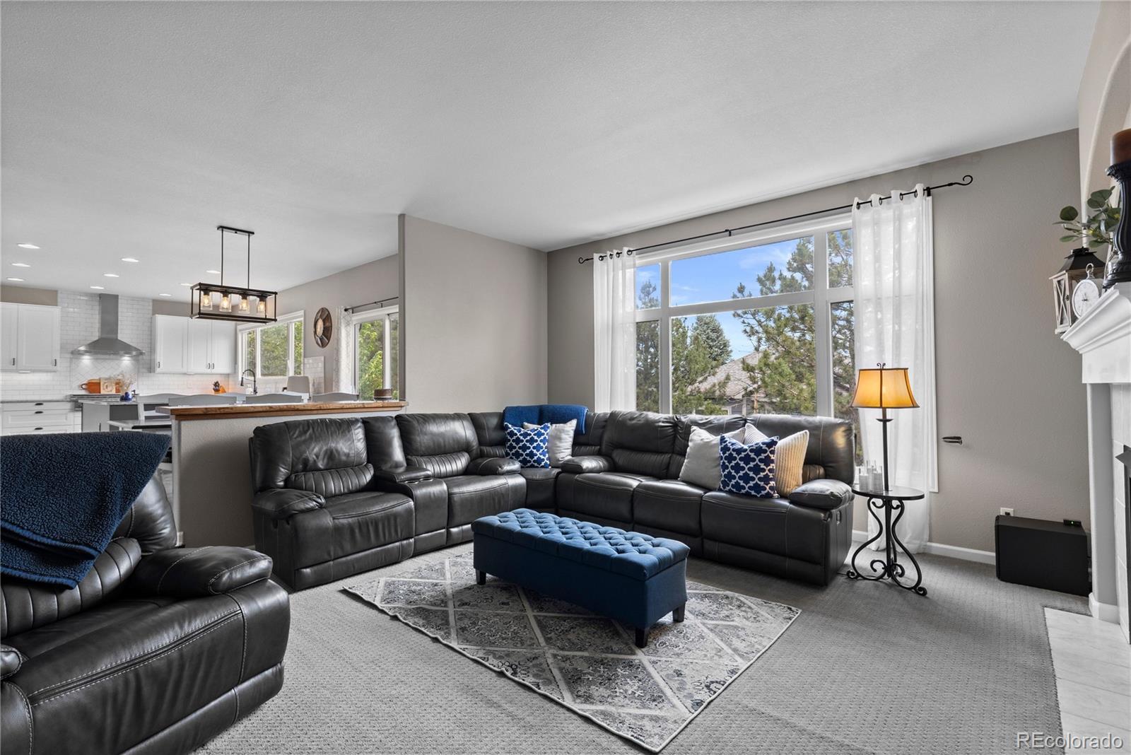 MLS Image #20 for 529  rita place,castle pines, Colorado