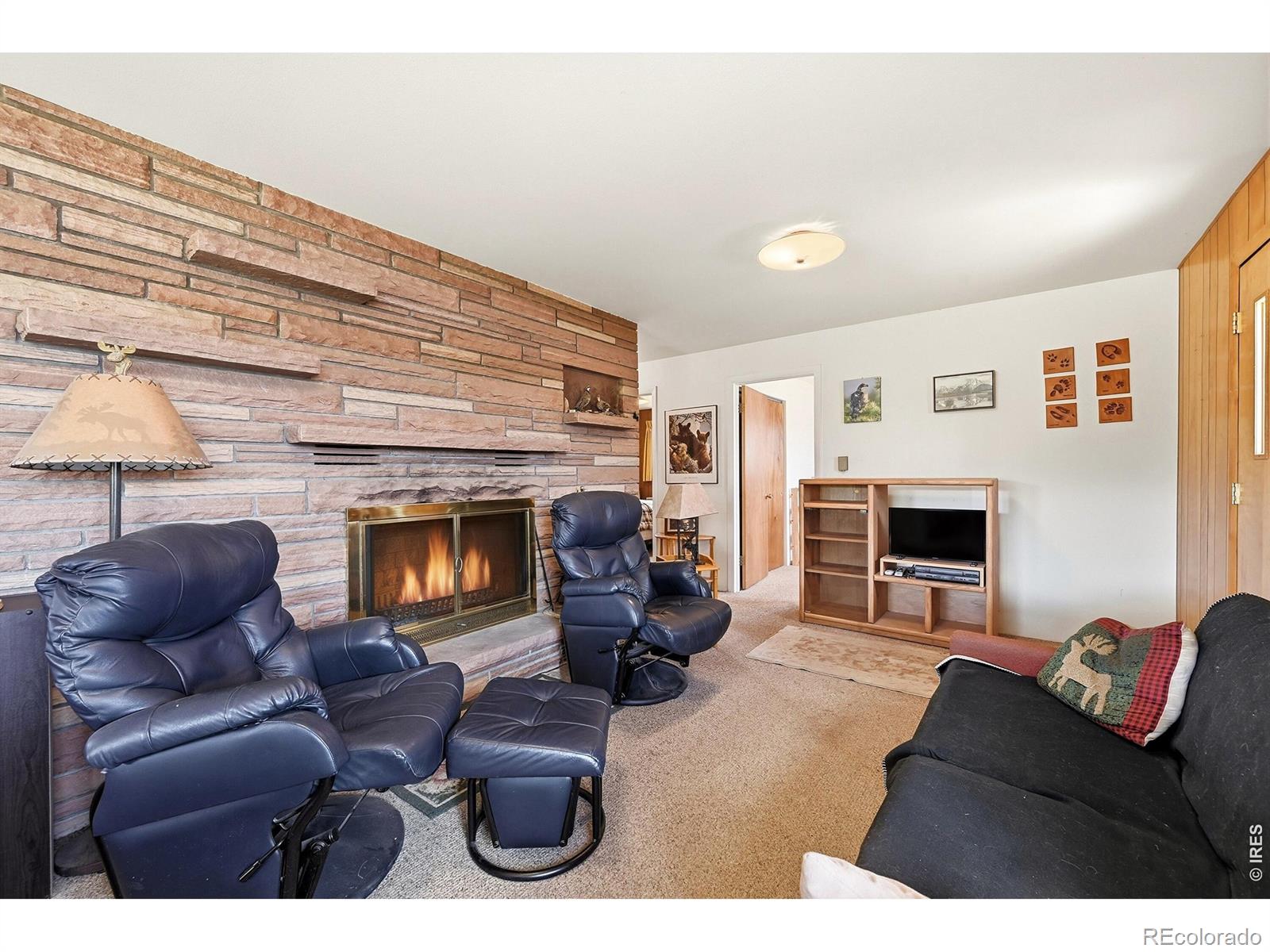 MLS Image #11 for 832  hiawatha highway,red feather lakes, Colorado