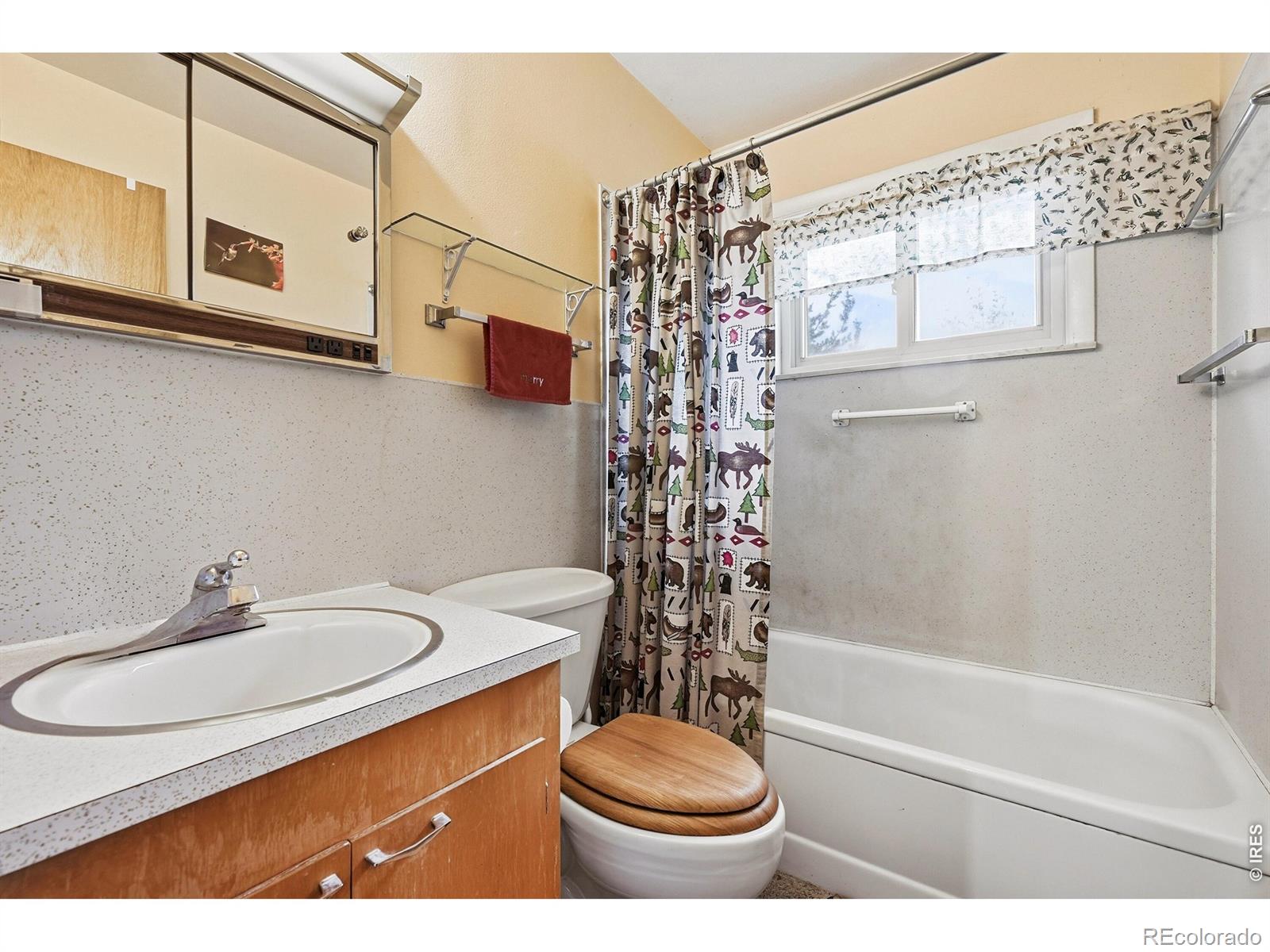 MLS Image #21 for 832  hiawatha highway,red feather lakes, Colorado