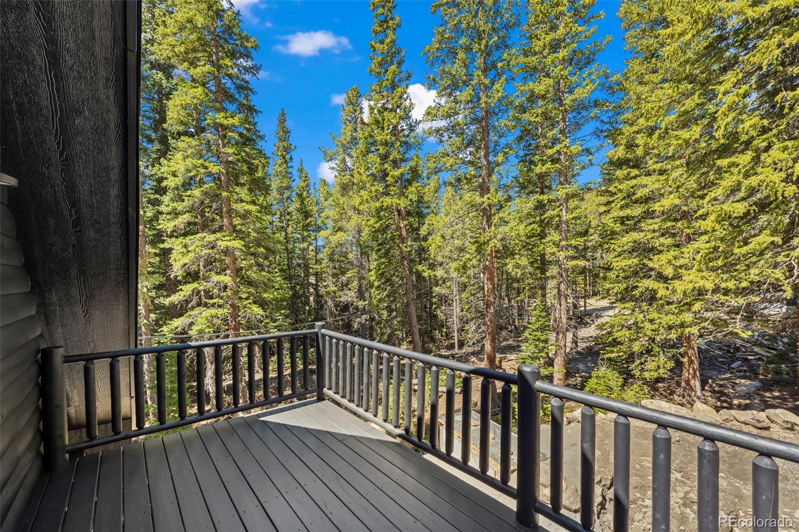 MLS Image #15 for 46  silver creek road,idaho springs, Colorado