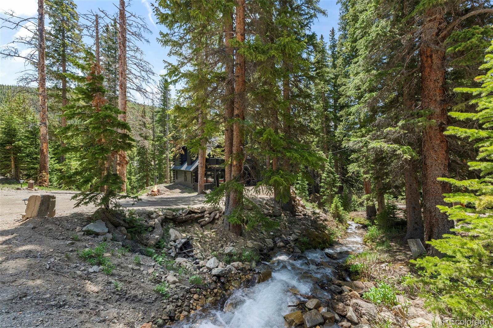 MLS Image #2 for 46  silver creek road,idaho springs, Colorado