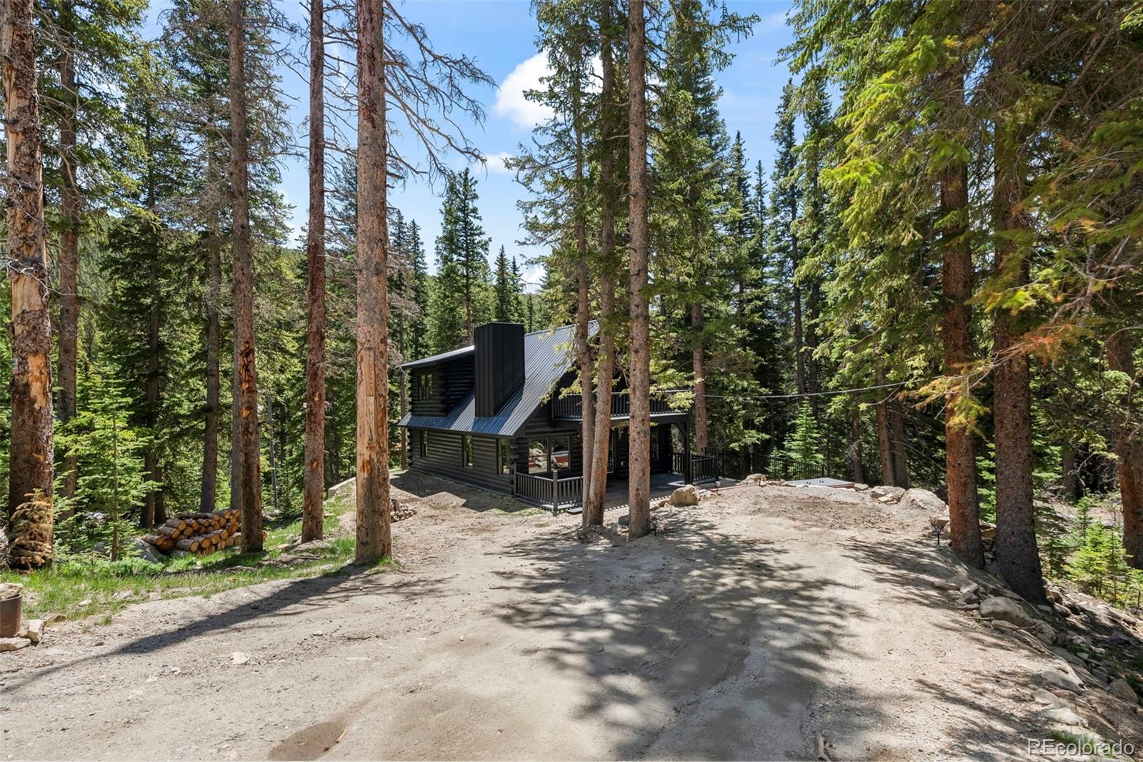 MLS Image #24 for 46  silver creek road,idaho springs, Colorado