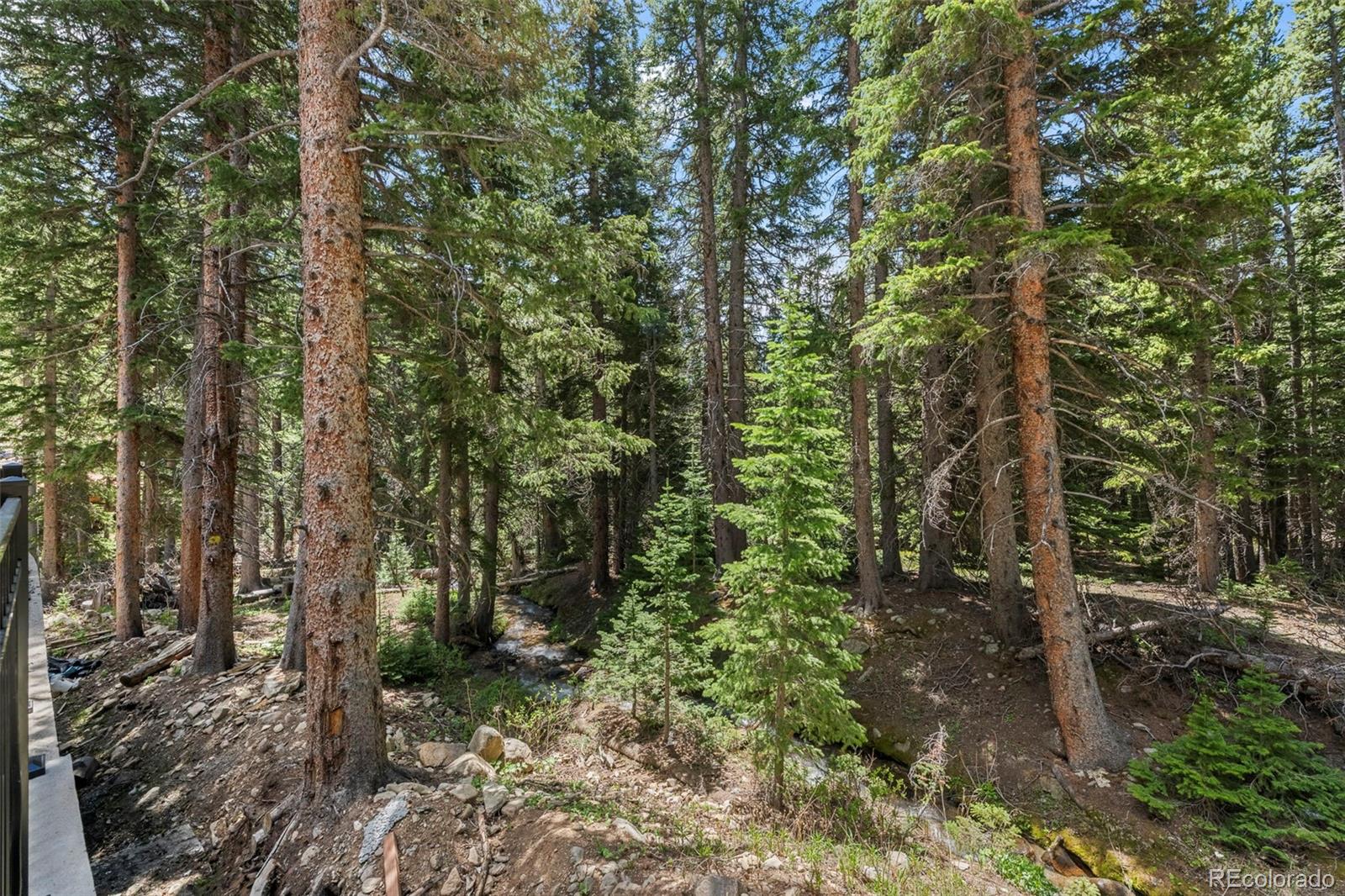 MLS Image #28 for 46  silver creek road,idaho springs, Colorado