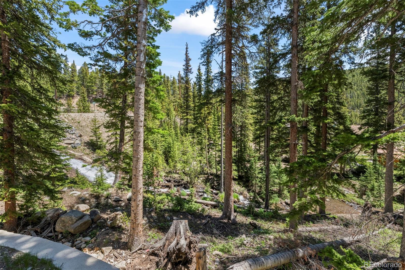 MLS Image #29 for 46  silver creek road,idaho springs, Colorado