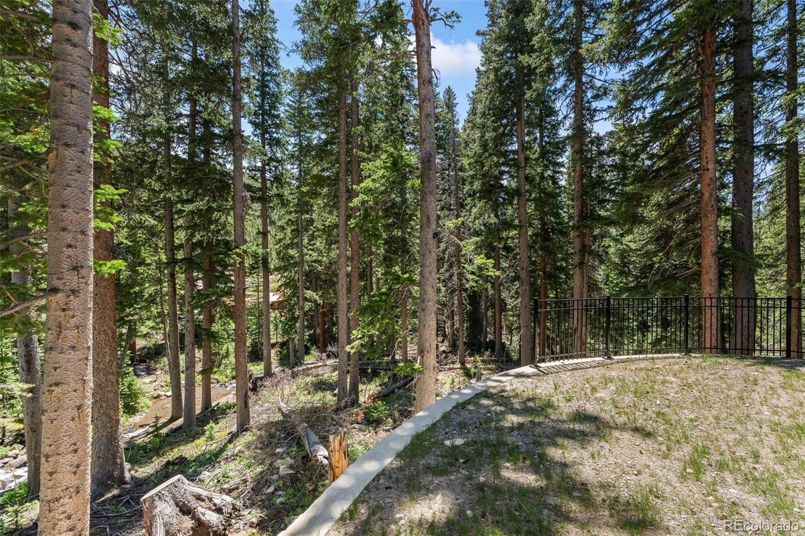 MLS Image #30 for 46  silver creek road,idaho springs, Colorado