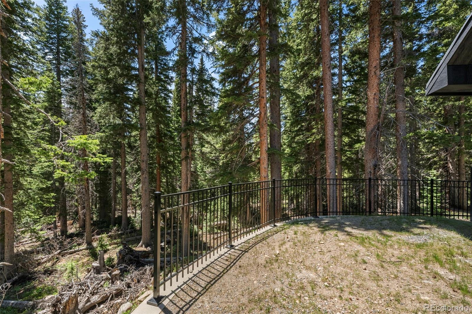 MLS Image #31 for 46  silver creek road,idaho springs, Colorado