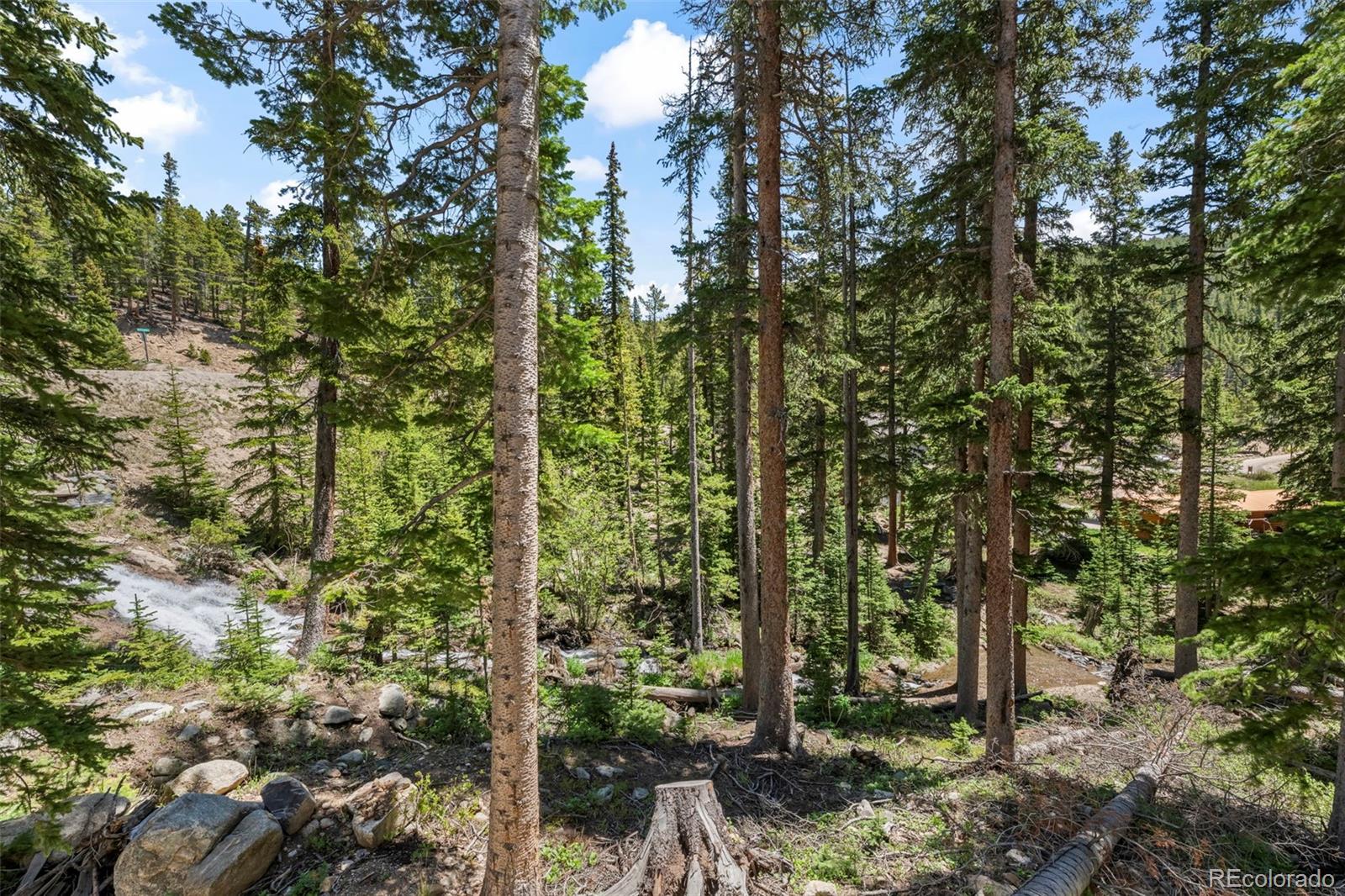 MLS Image #32 for 46  silver creek road,idaho springs, Colorado