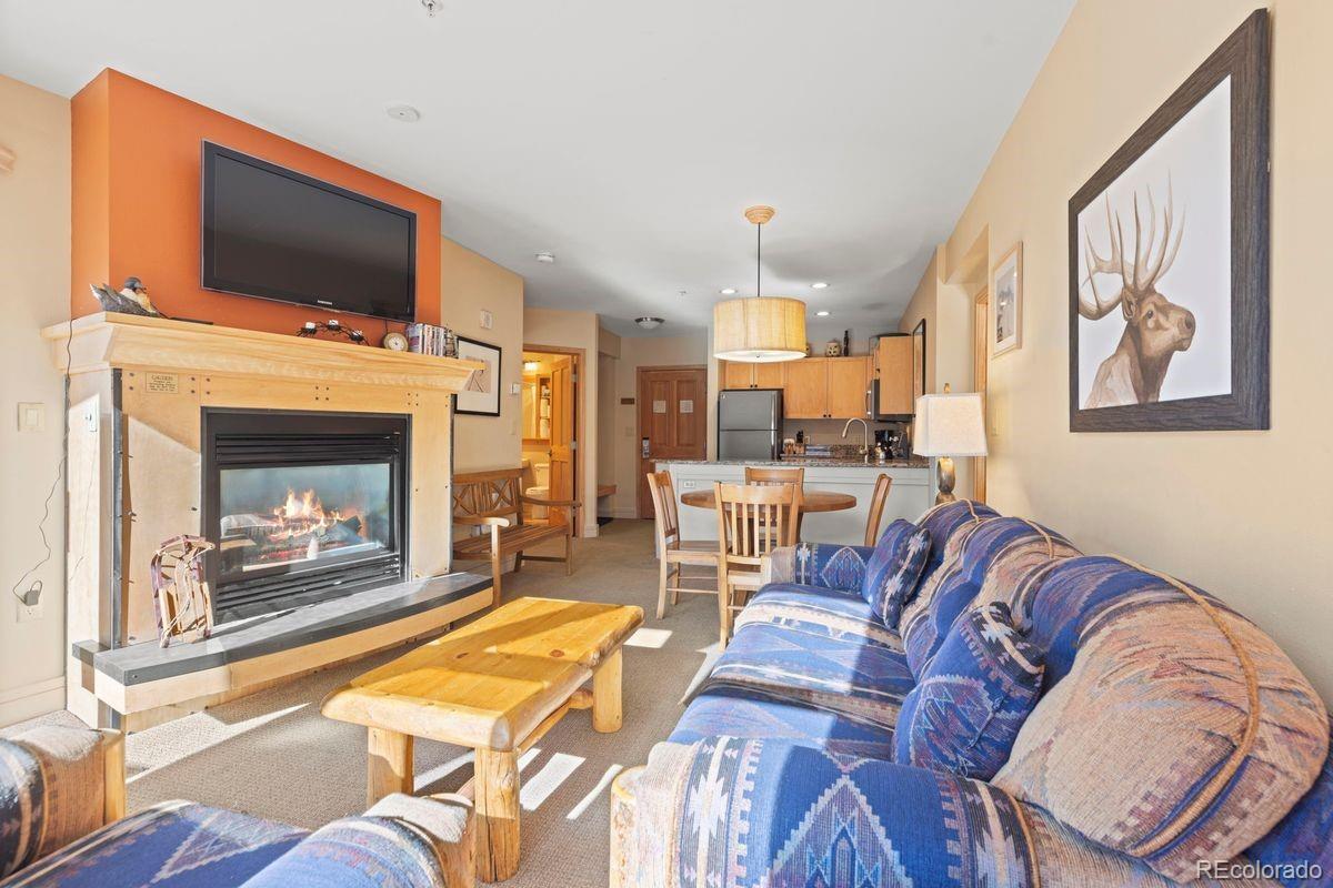 MLS Image #8 for 140  ida belle drive,dillon, Colorado