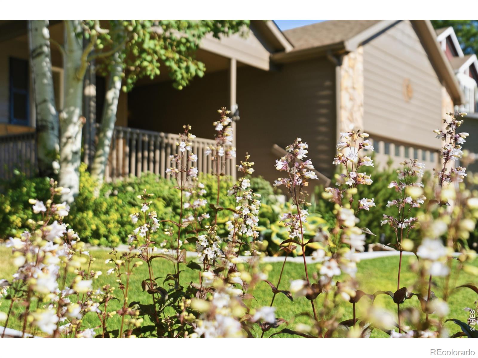 MLS Image #1 for 277  sand grouse drive,loveland, Colorado