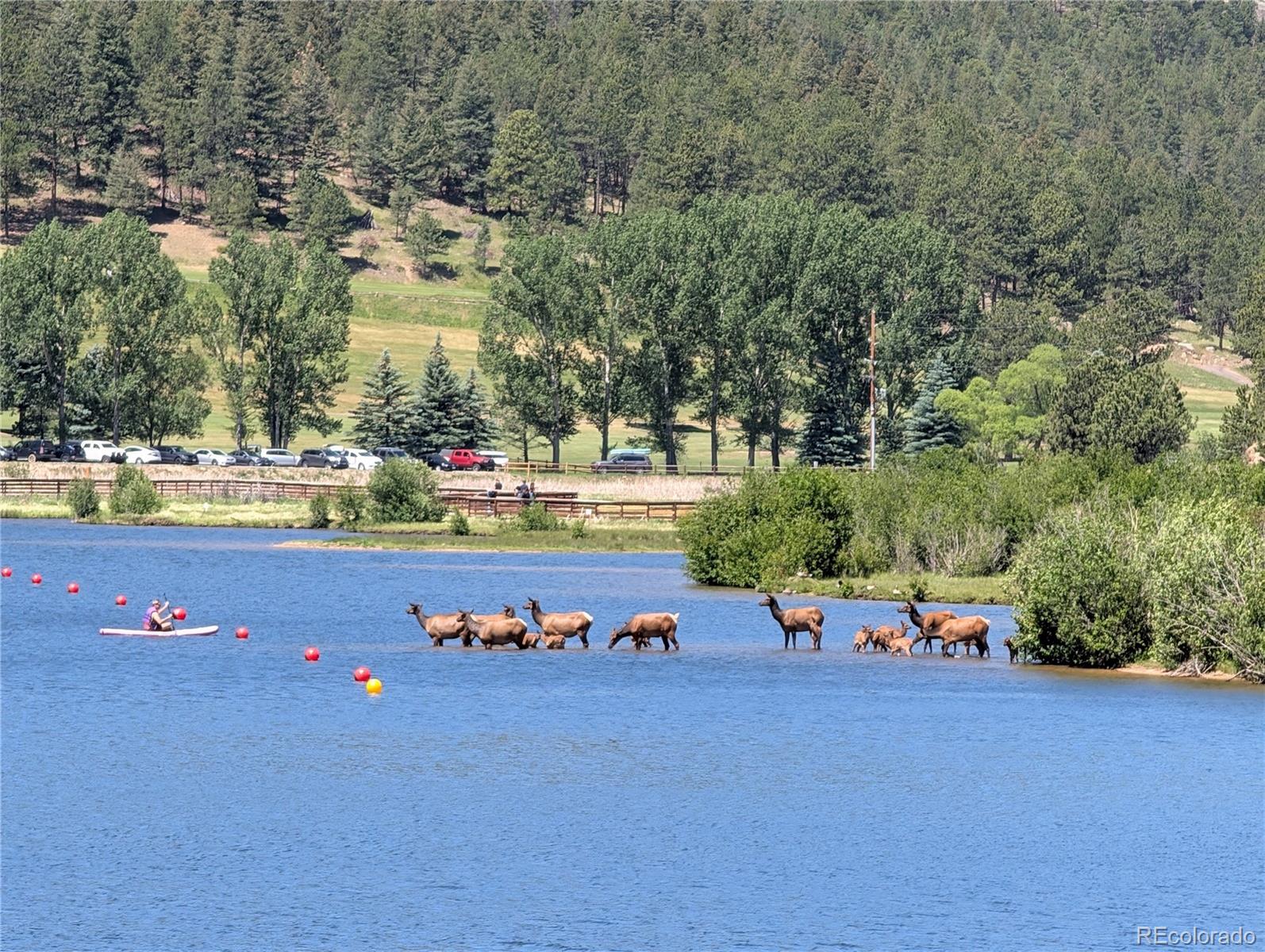 MLS Image #46 for 4398  independence trail,evergreen, Colorado