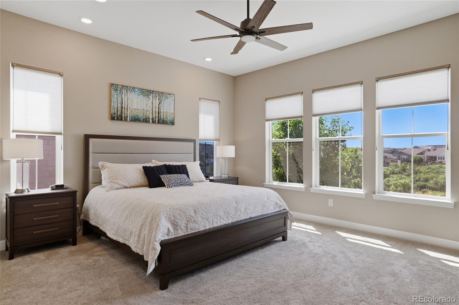 MLS Image #9 for 2104  bellcove drive,castle rock, Colorado