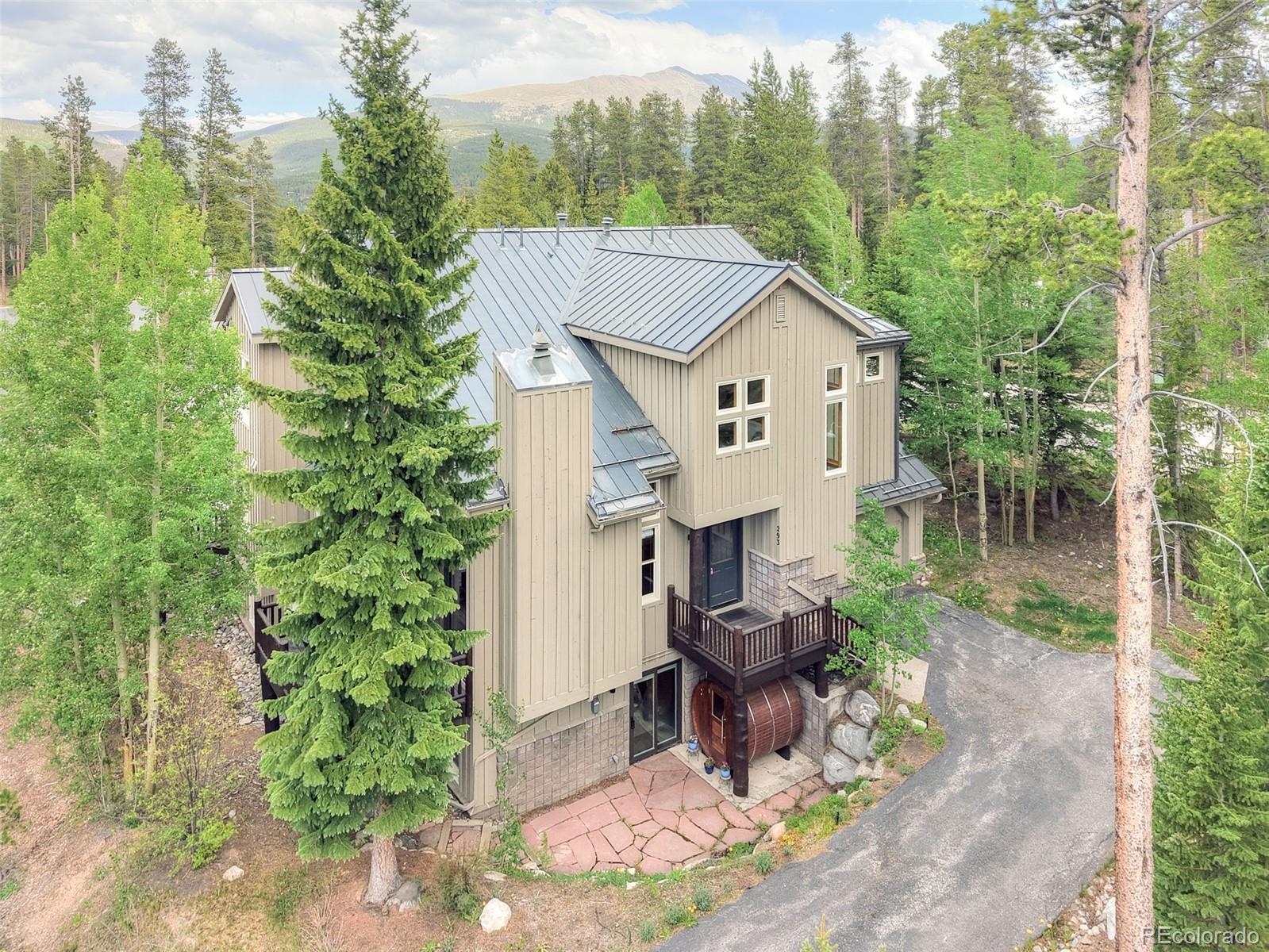MLS Image #0 for 293  settlers drive,breckenridge, Colorado