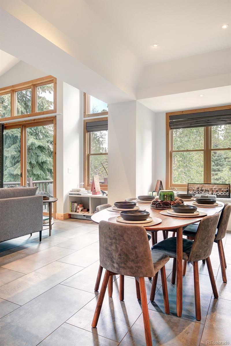 MLS Image #14 for 293  settlers drive,breckenridge, Colorado