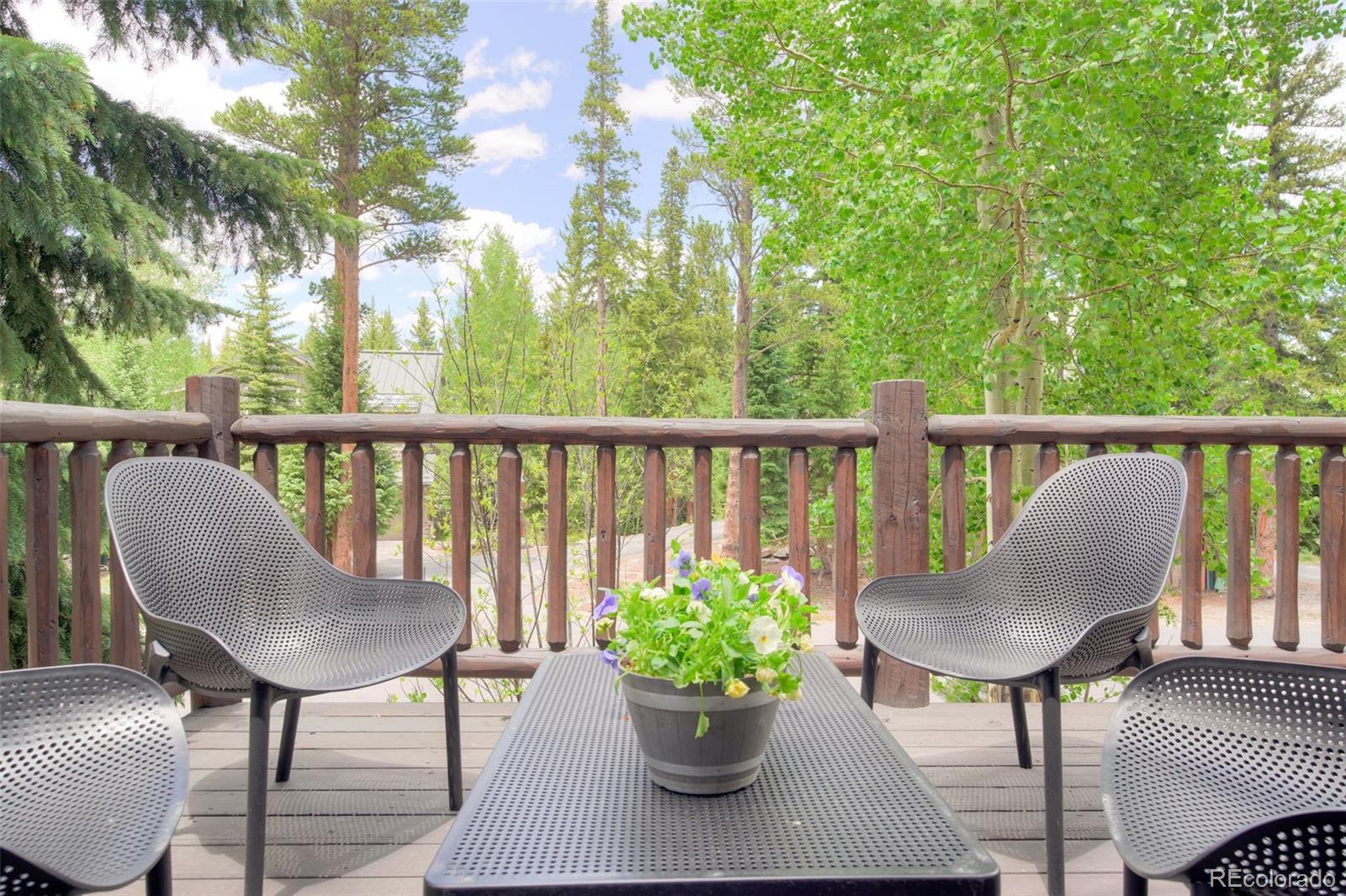 MLS Image #15 for 293  settlers drive,breckenridge, Colorado