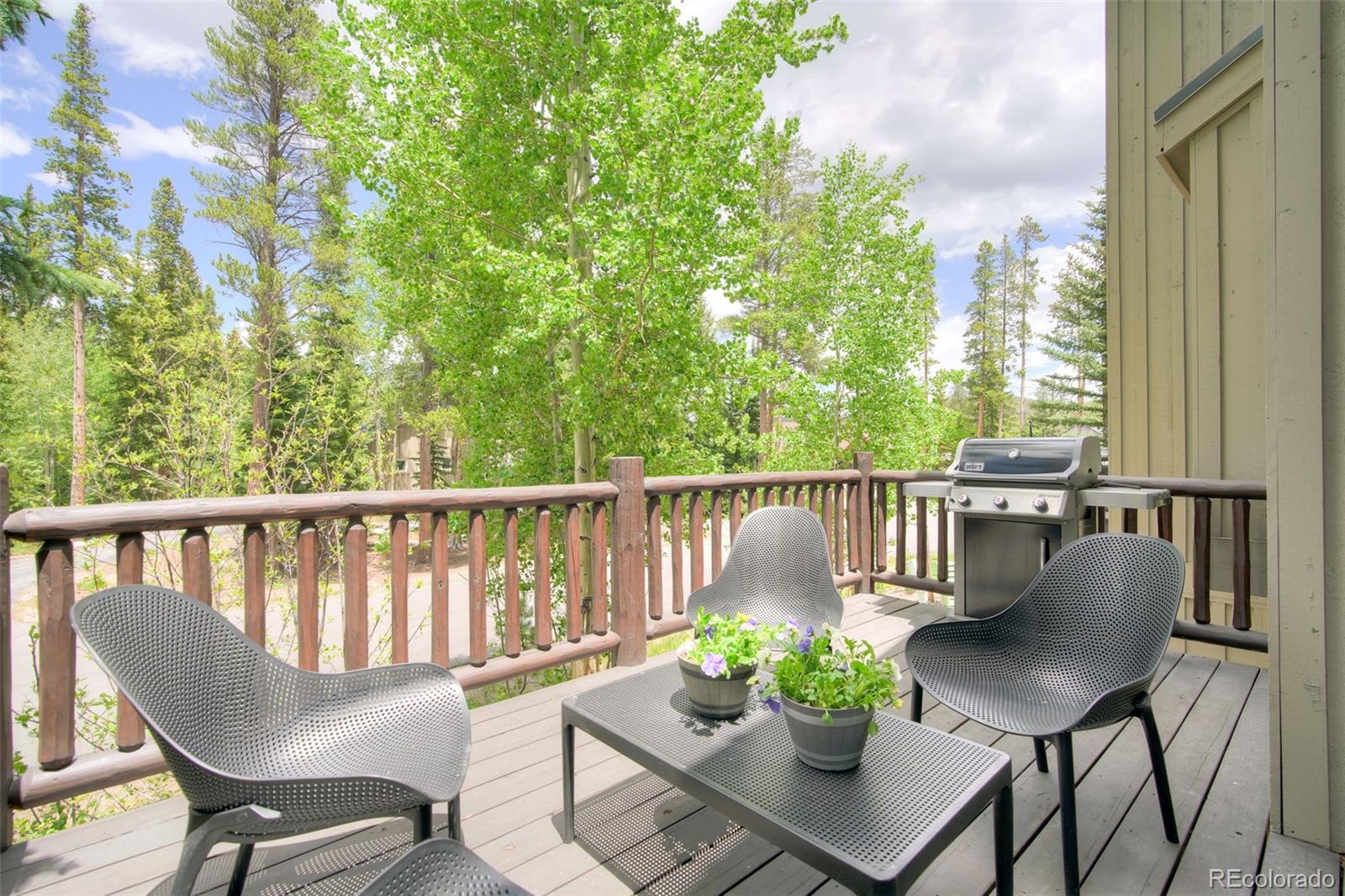 MLS Image #4 for 293  settlers drive,breckenridge, Colorado