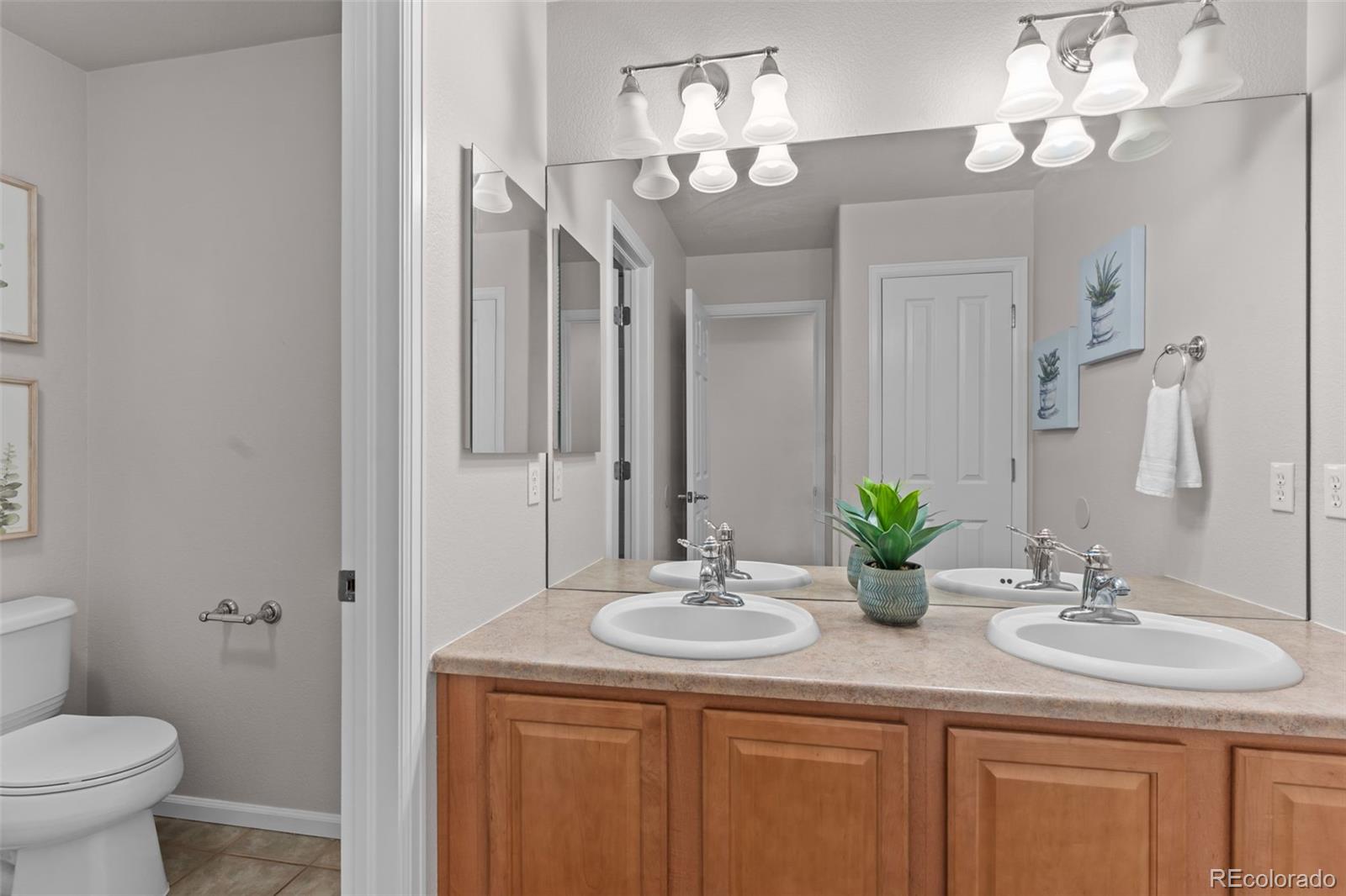 MLS Image #15 for 6223  escalade point,colorado springs, Colorado