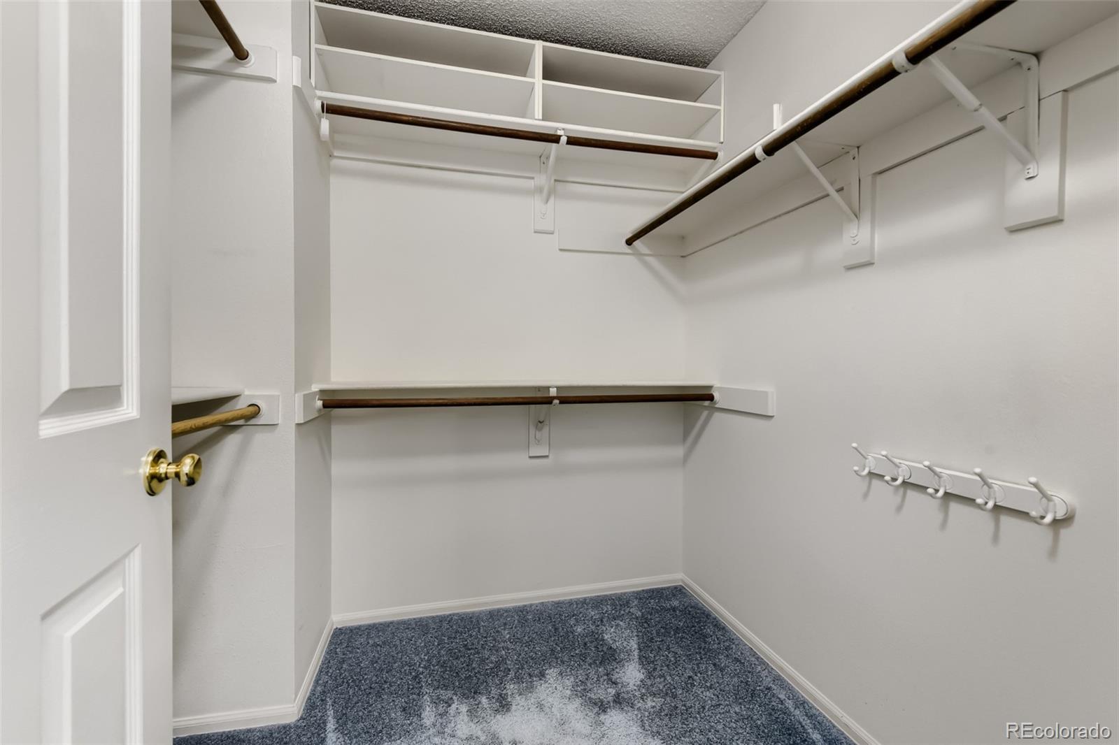 MLS Image #12 for 1374  briar circle,littleton, Colorado