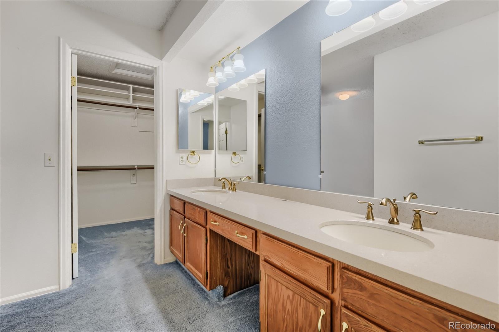 MLS Image #13 for 1374  briar circle,littleton, Colorado