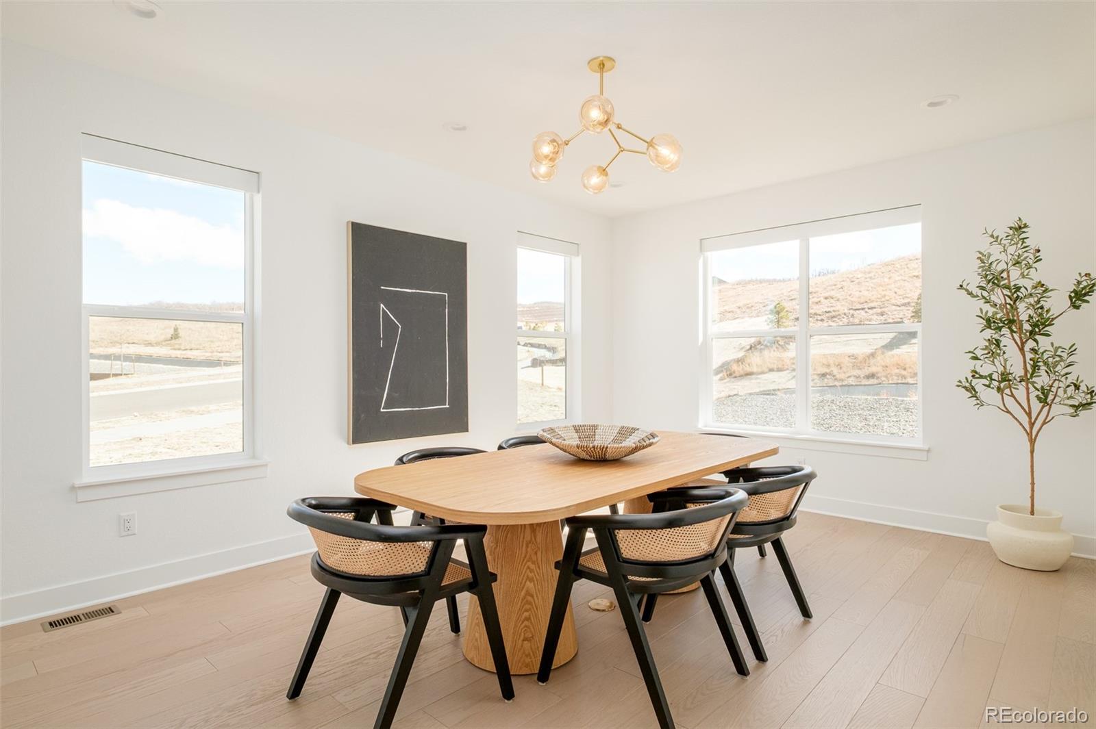 MLS Image #2 for 1158  brotherton point,castle rock, Colorado