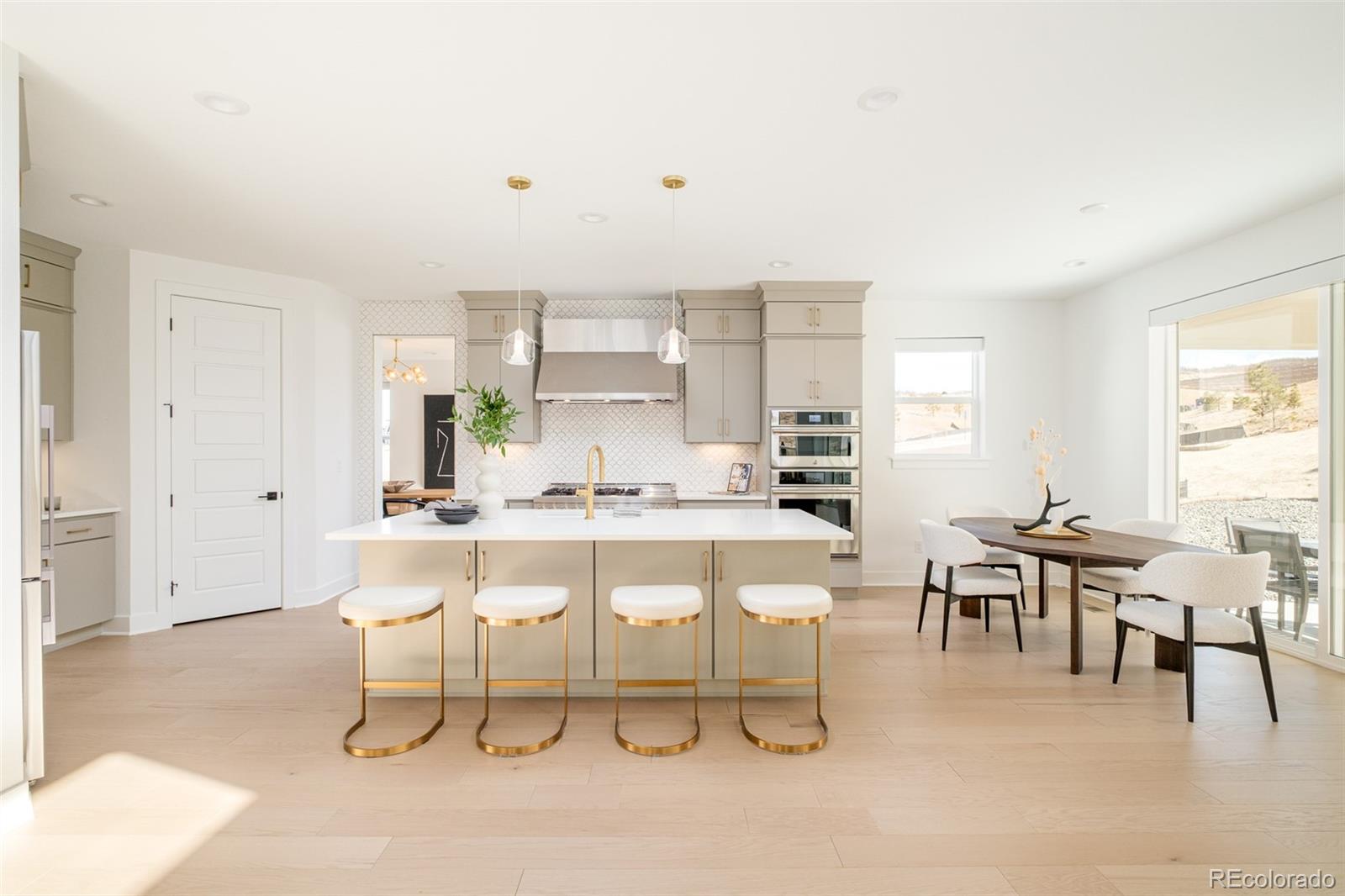 MLS Image #4 for 1158  brotherton point,castle rock, Colorado