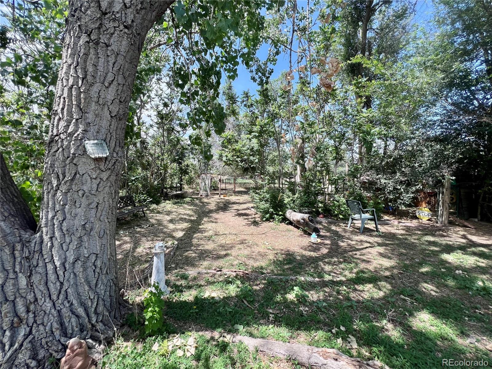 MLS Image #19 for 13679  raleigh street,broomfield, Colorado