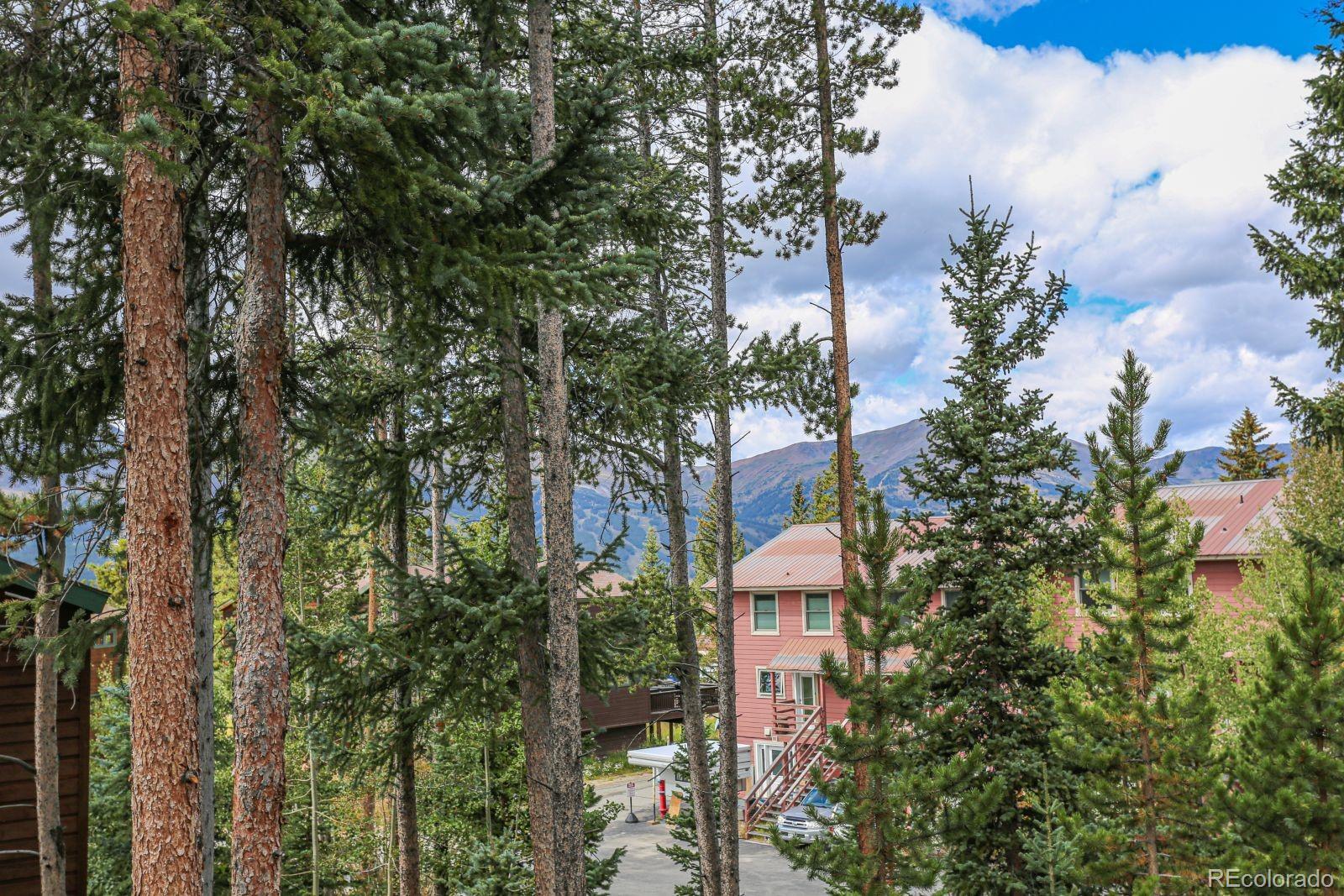 MLS Image #26 for 6  southface drive 2,breckenridge, Colorado