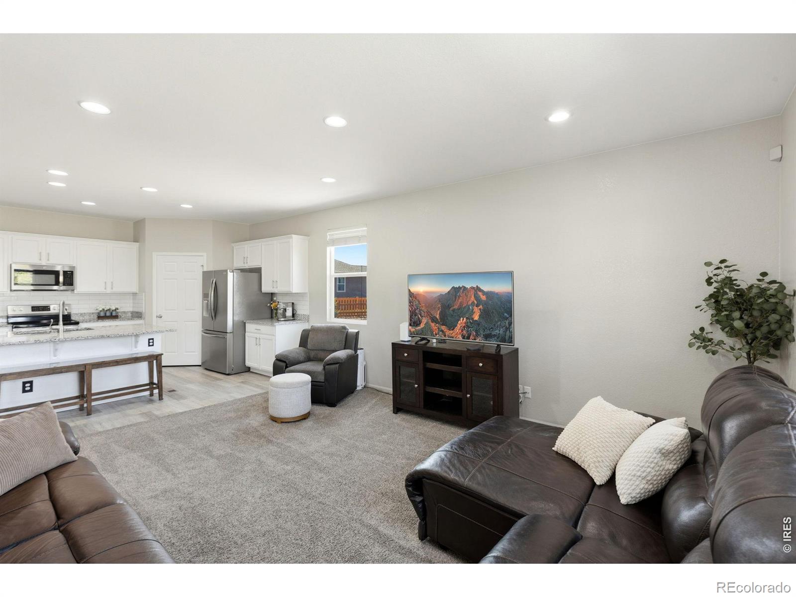 MLS Image #10 for 902  pierson court,windsor, Colorado